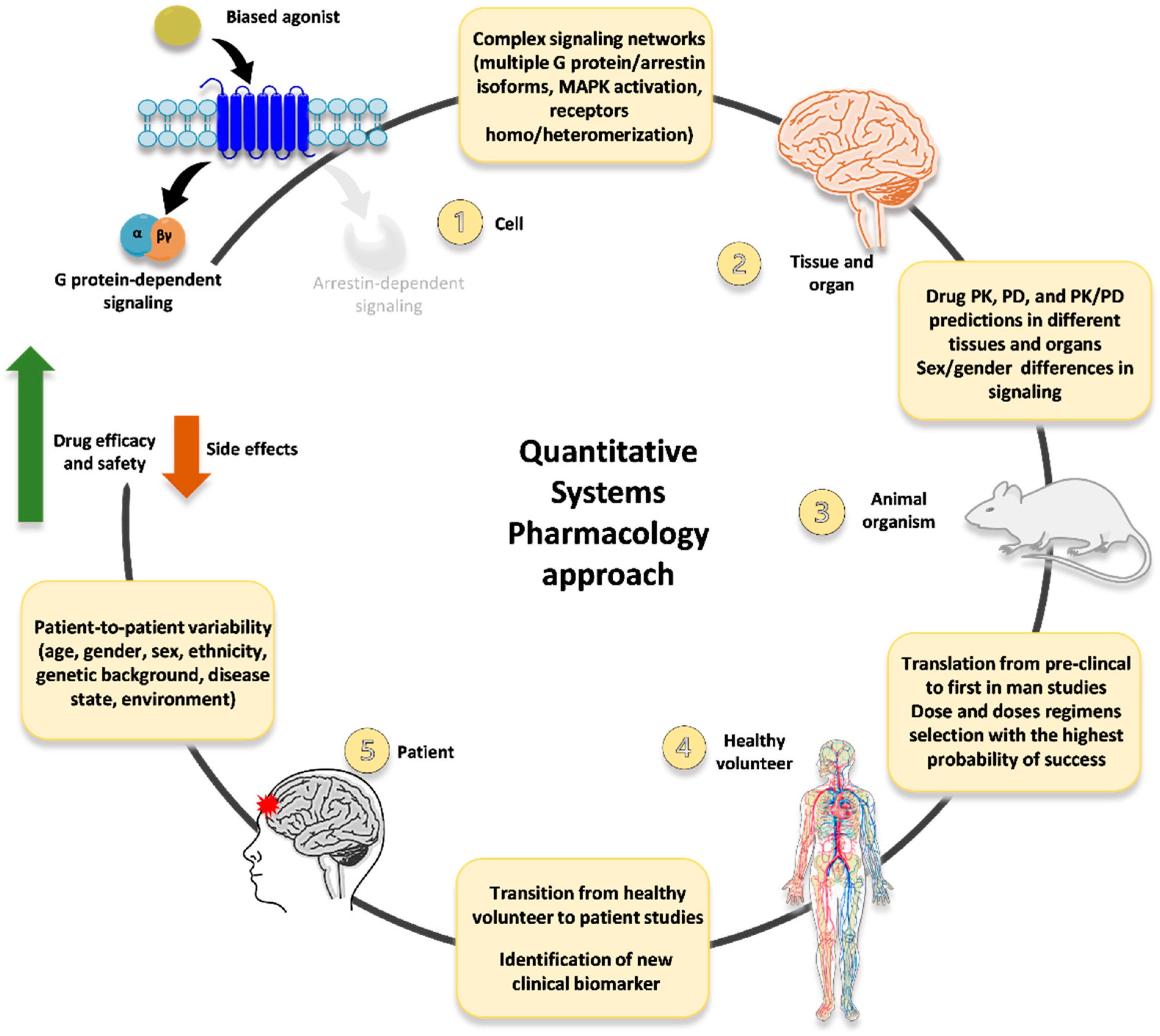 Ijms 23 05114 g002 550