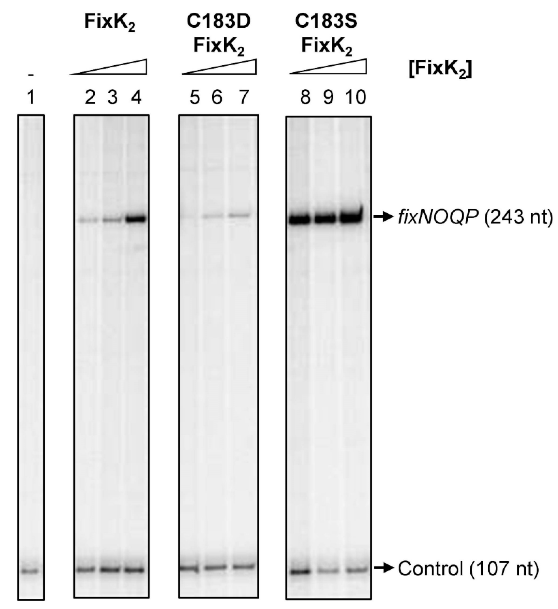 Ijms 23 05117 g001 550