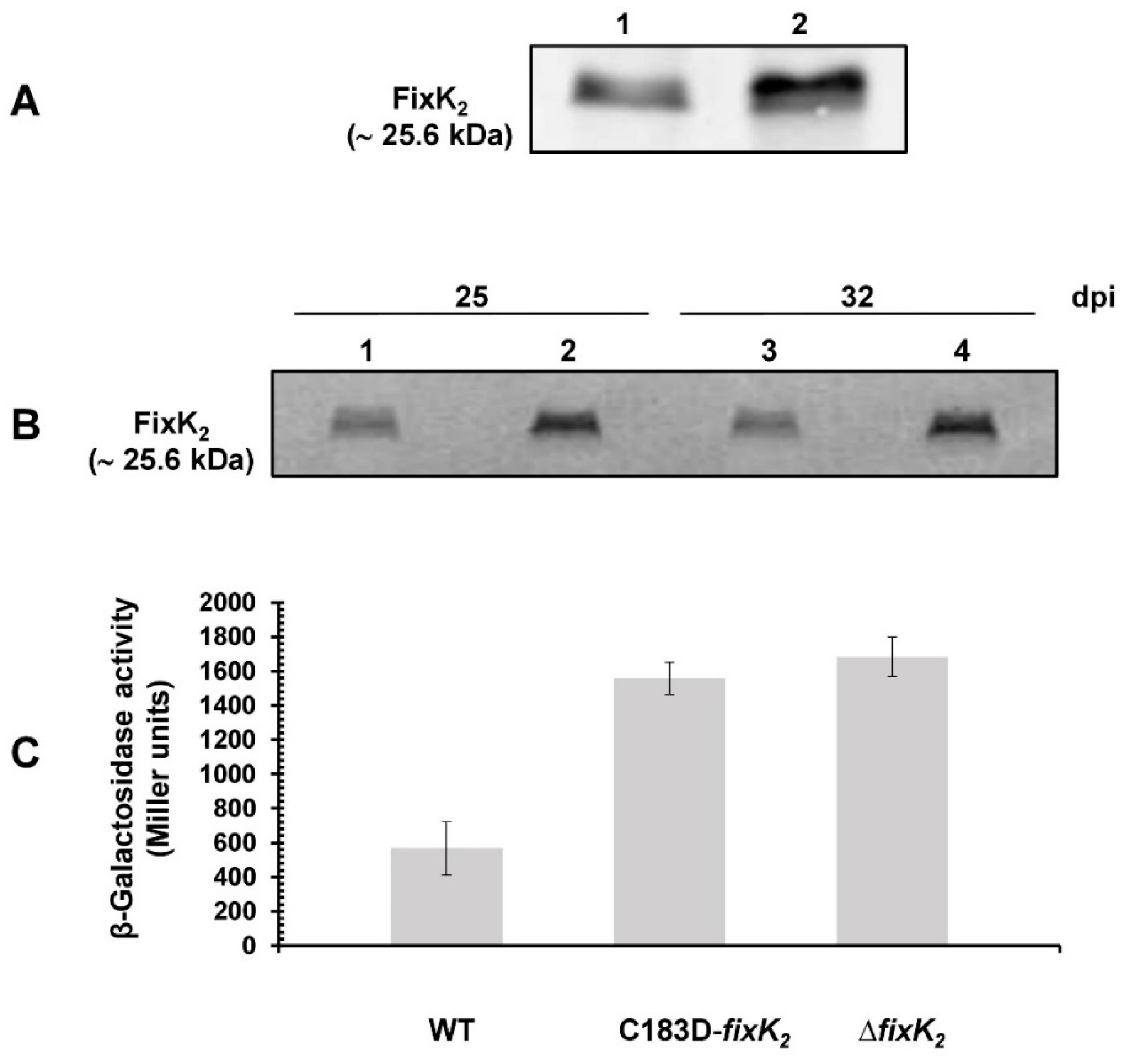 Ijms 23 05117 g006 550
