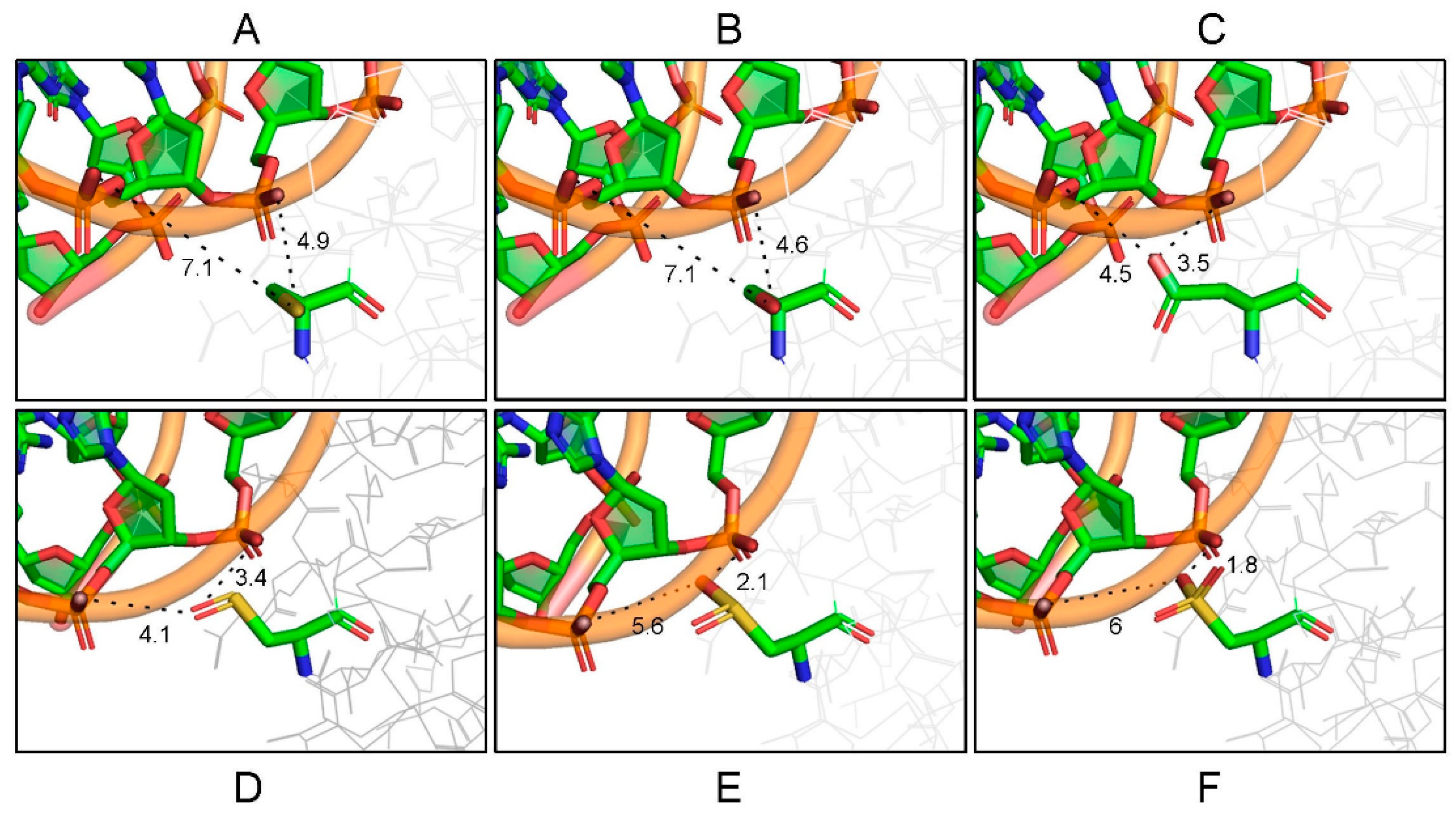 Ijms 23 05117 g008 550