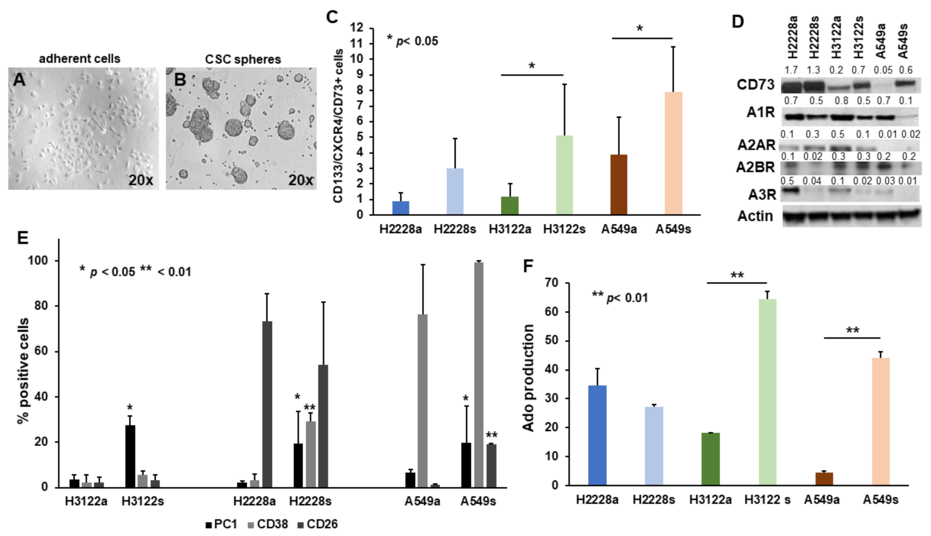 Ijms 23 05126 g001 550