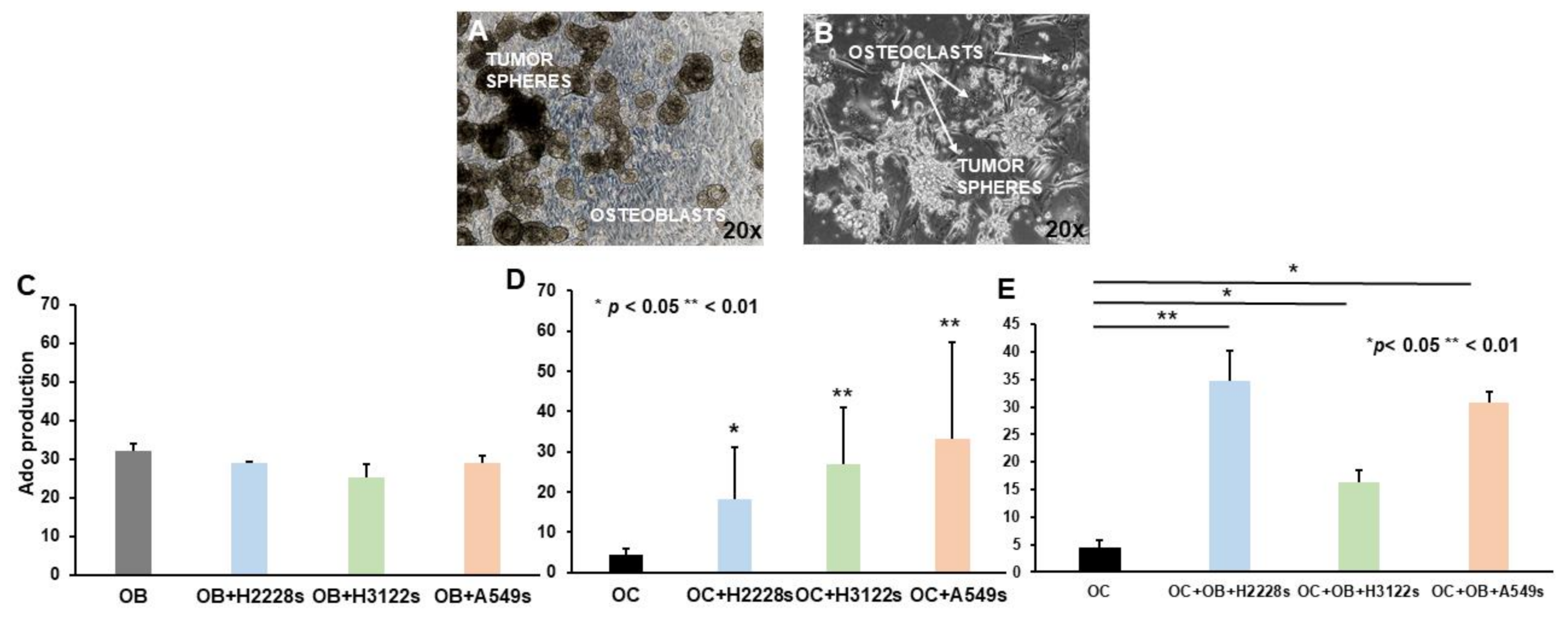 Ijms 23 05126 g003 550