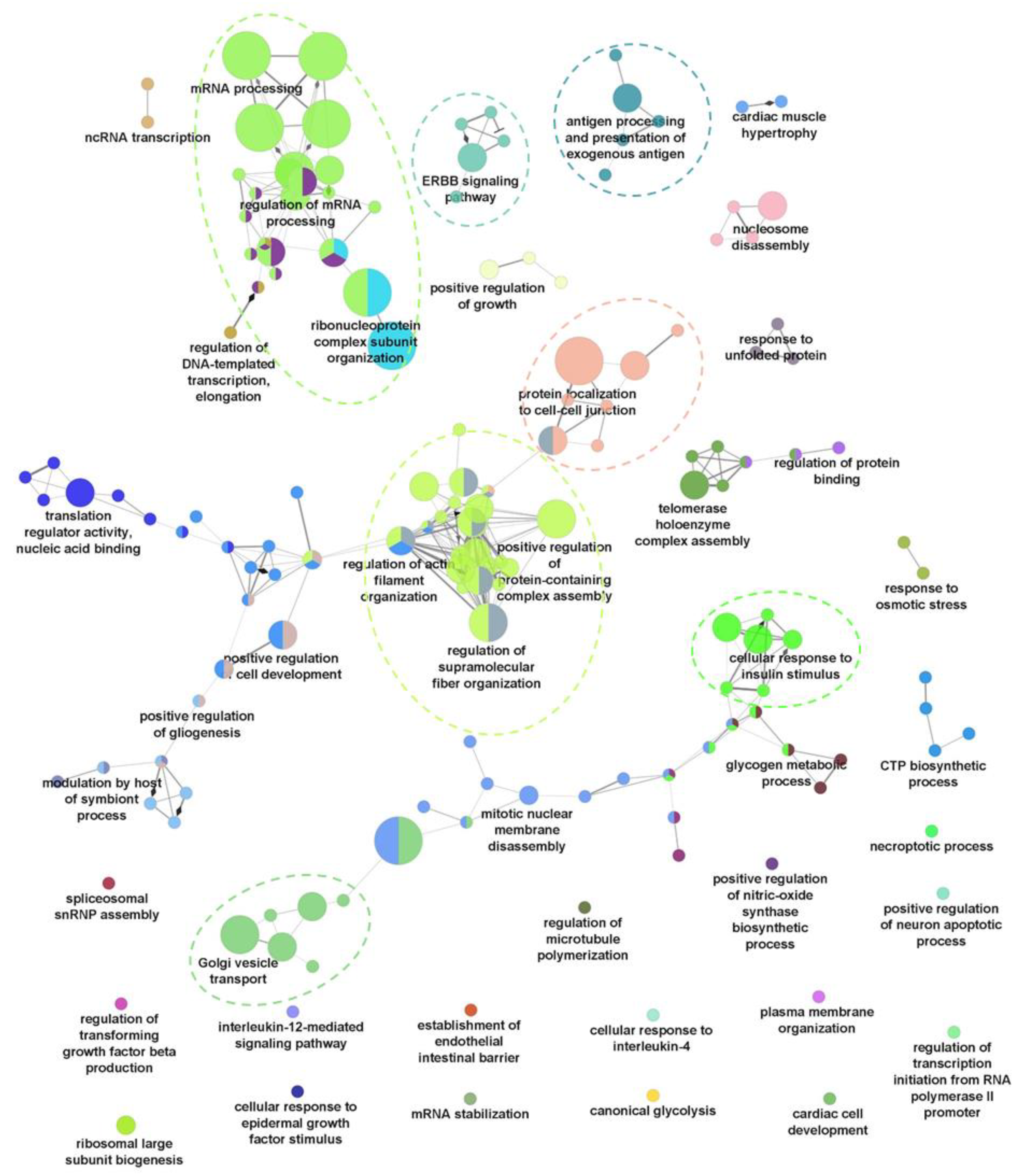 Ijms 23 05127 g002 Ijms 23 05127 g002