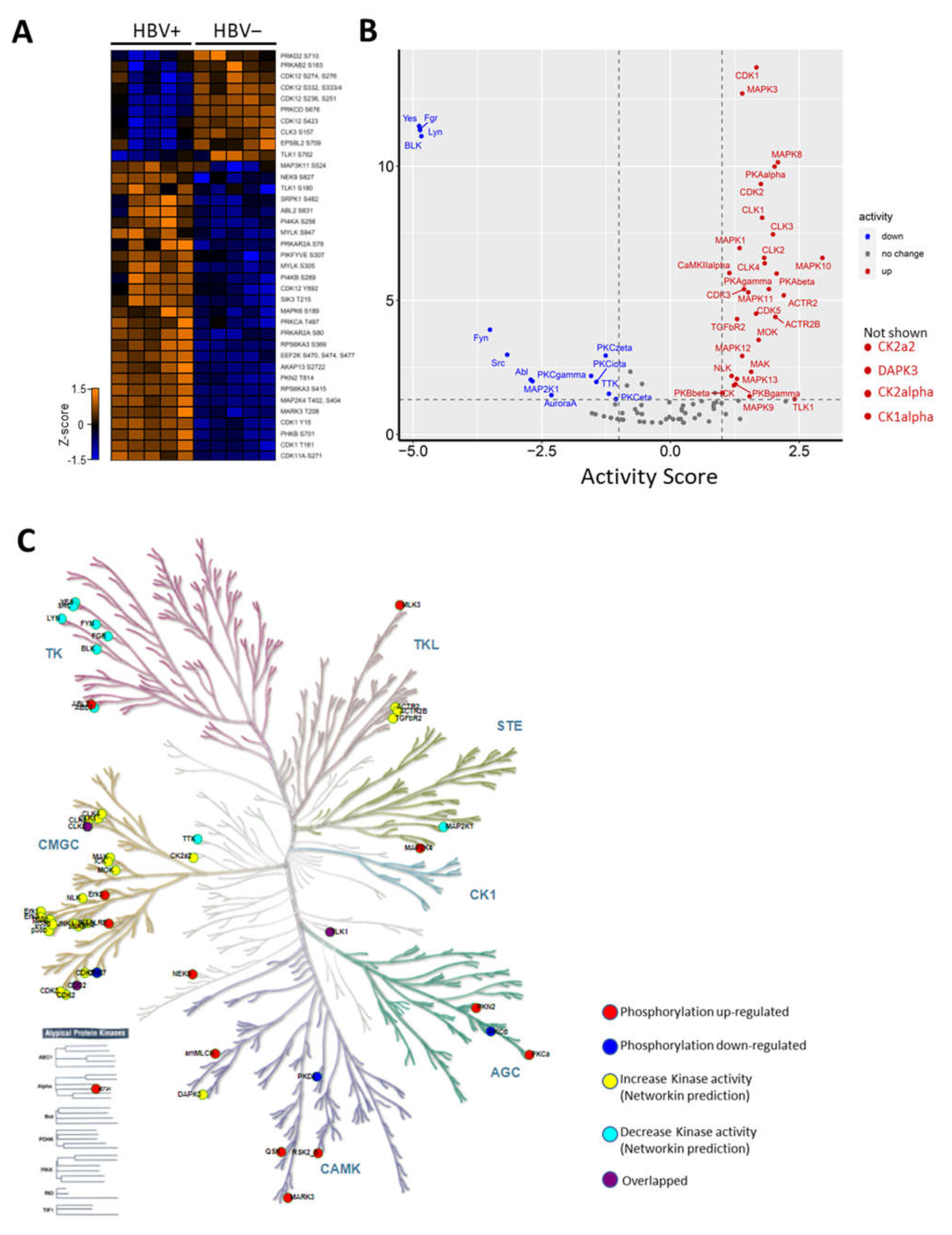 Ijms 23 05127 g003 Ijms 23 05127 g003