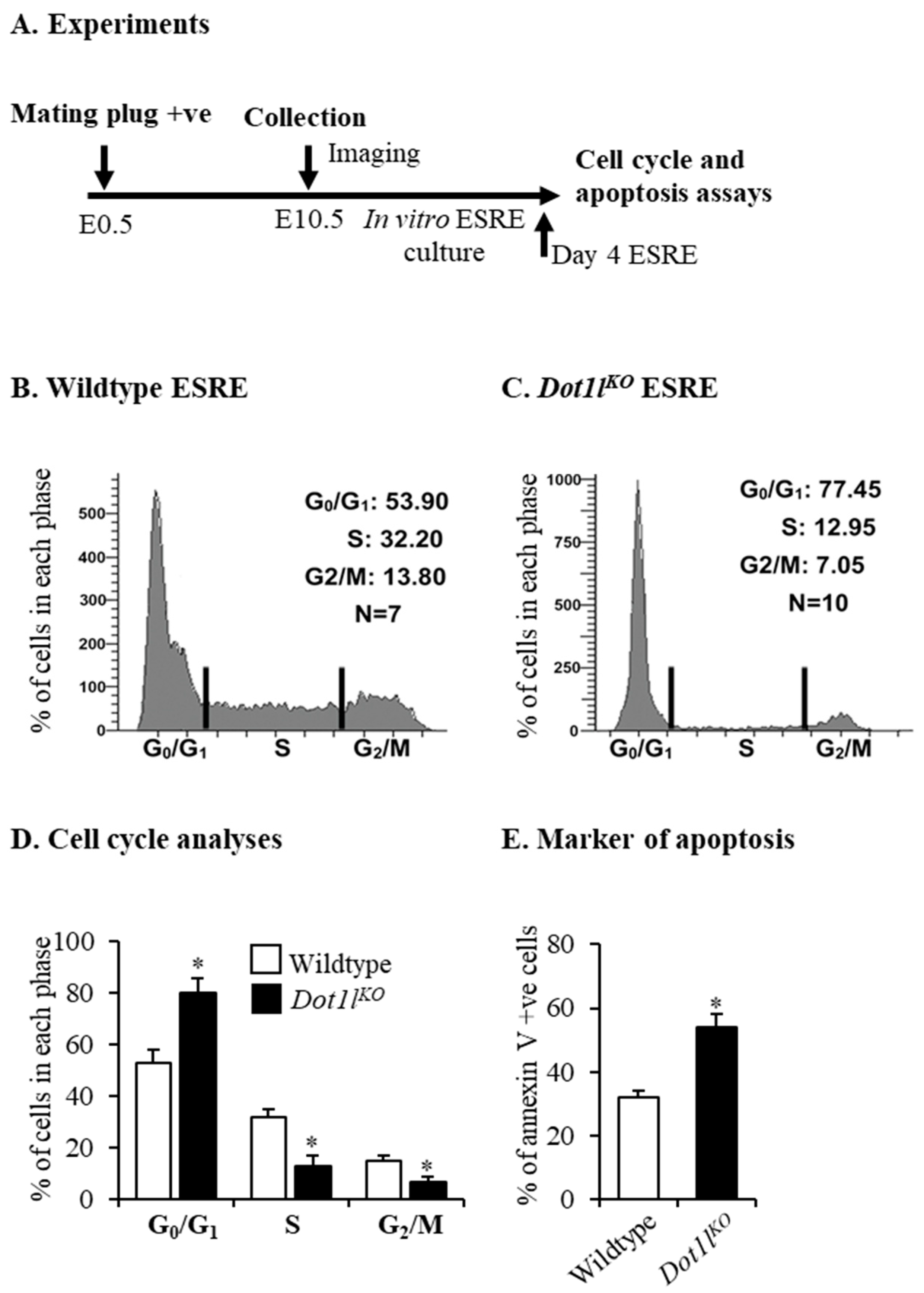 Ijms 23 05137 g002 Ijms 23 05137 g002
