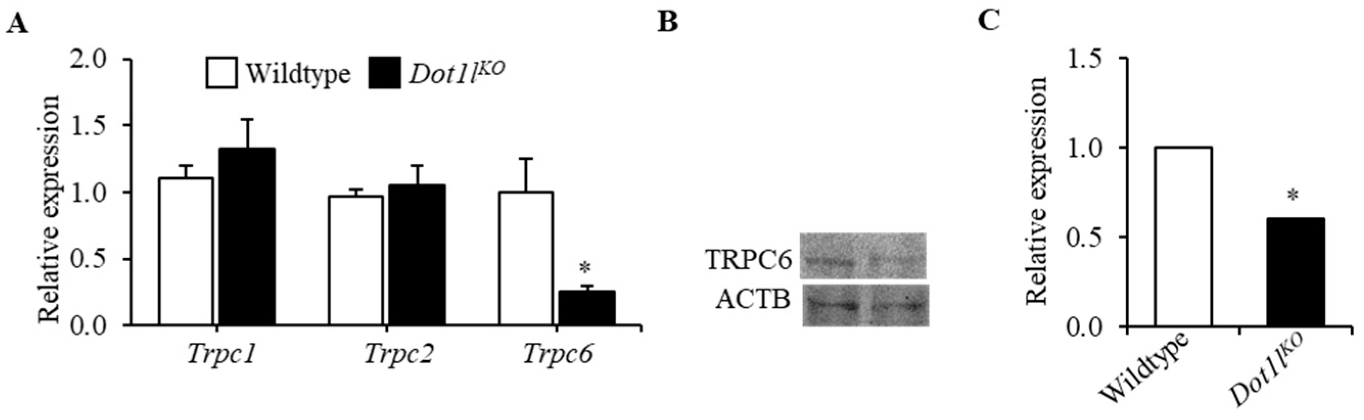 Ijms 23 05137 g004 Ijms 23 05137 g004