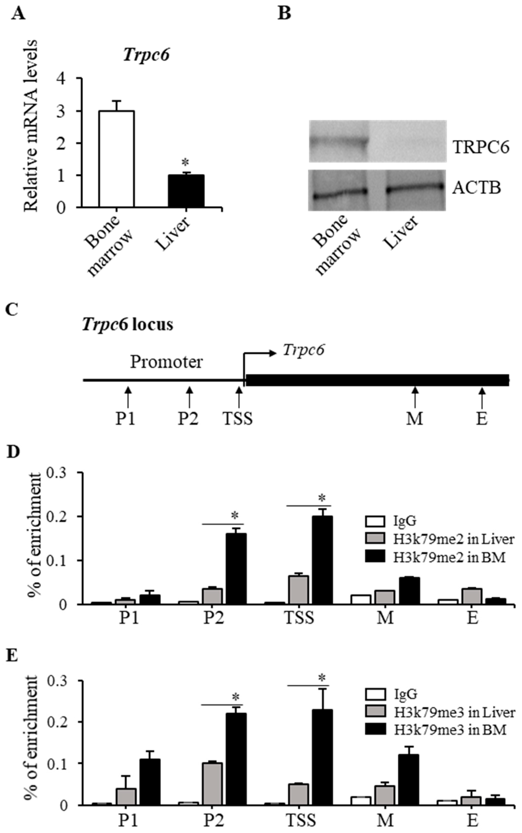 Ijms 23 05137 g005 Ijms 23 05137 g005