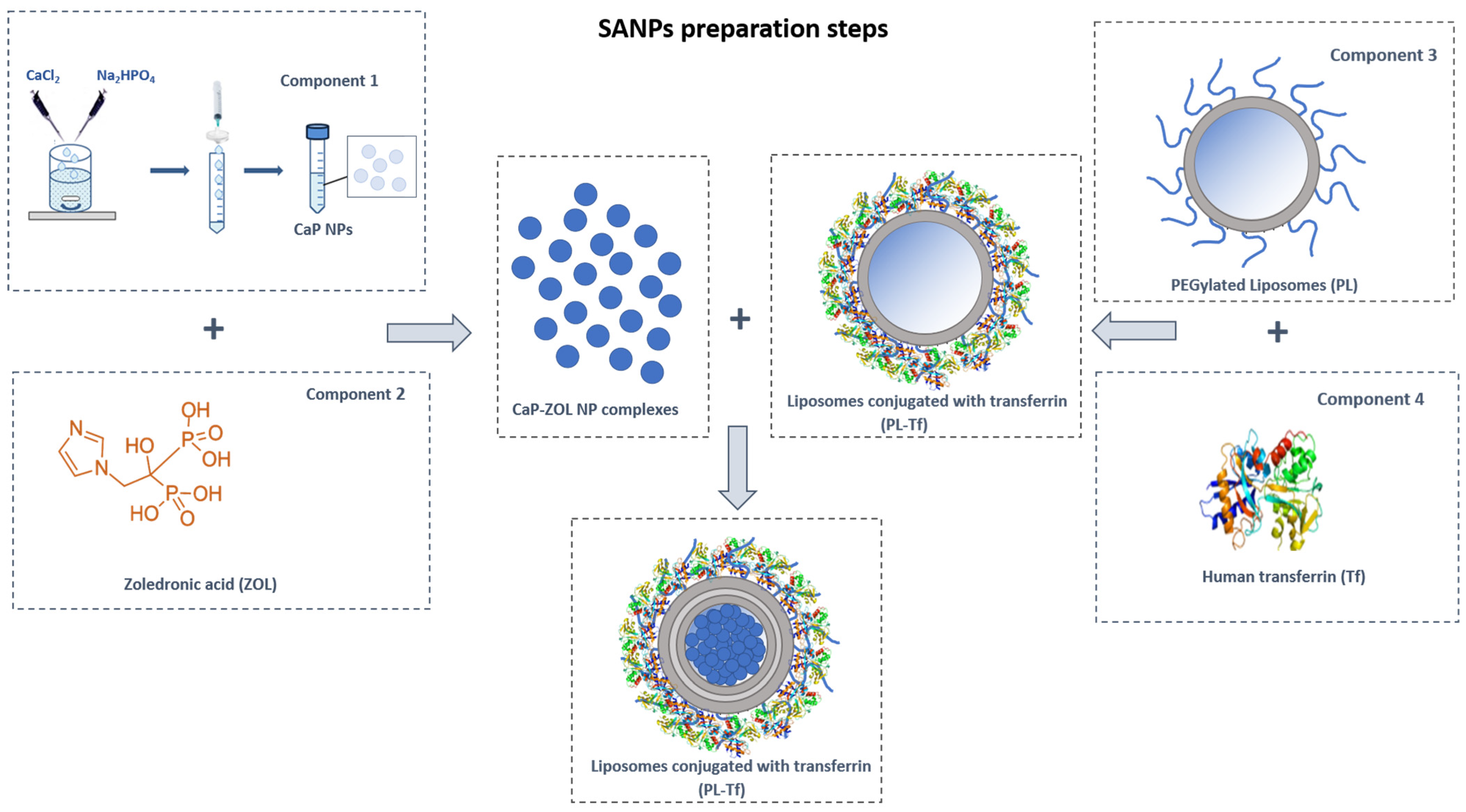 Ijms 23 05138 g001 550