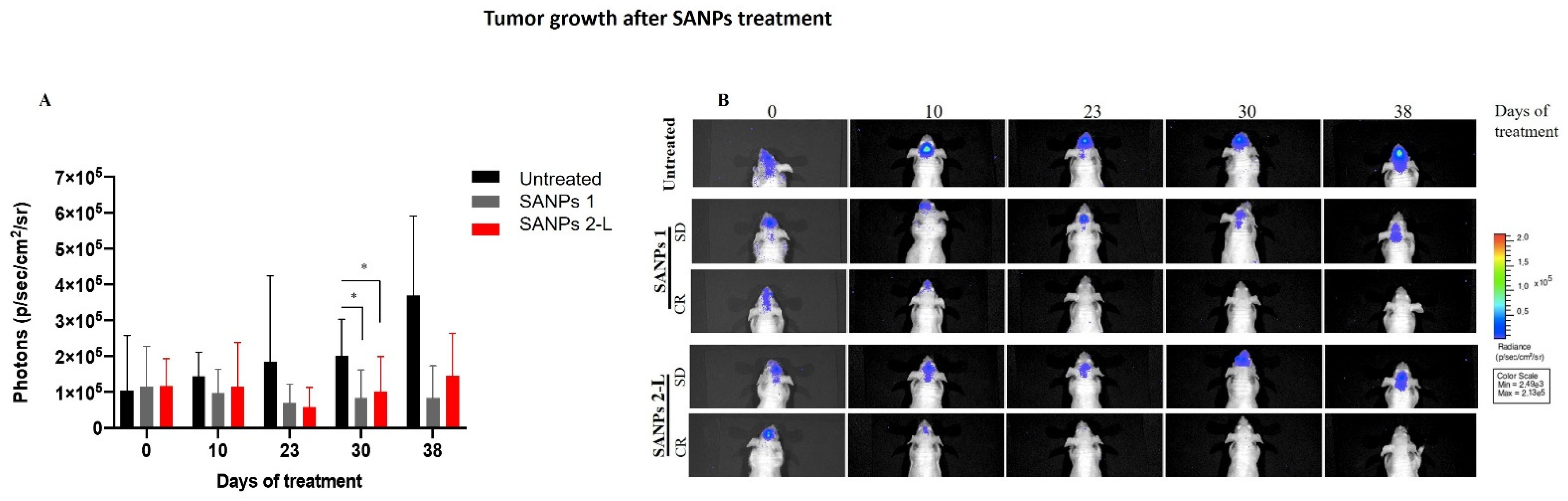 Ijms 23 05138 g004 550