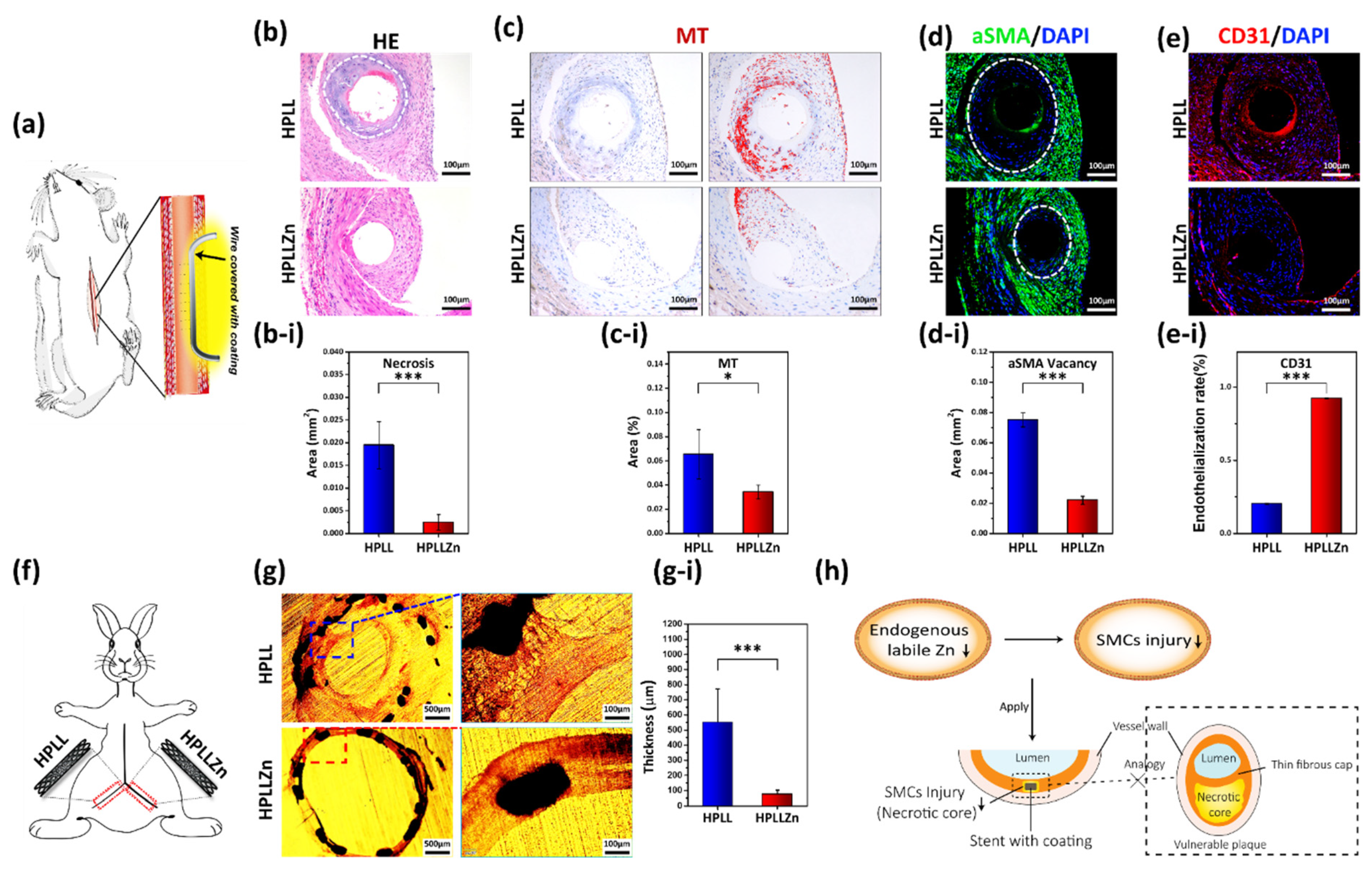 Ijms 23 05139 g005 Ijms 23 05139 g005