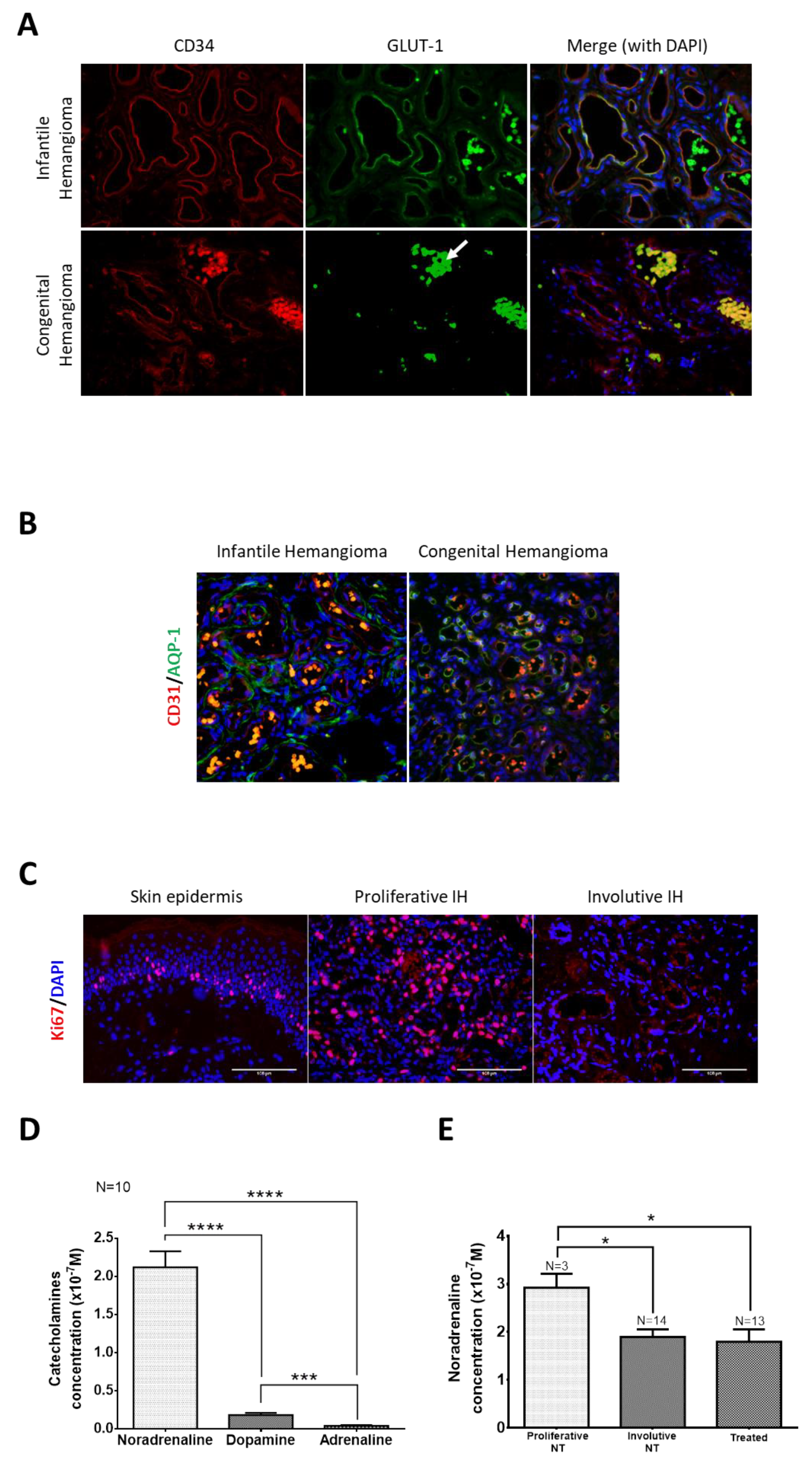 Ijms 23 05140 g001 550