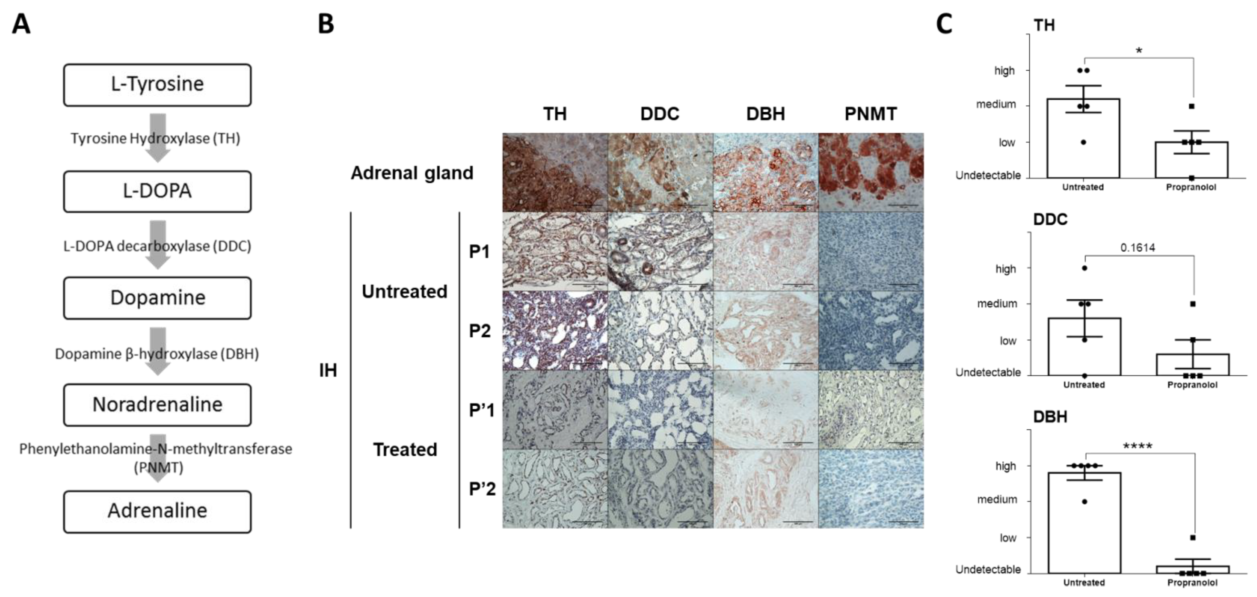 Ijms 23 05140 g002 550