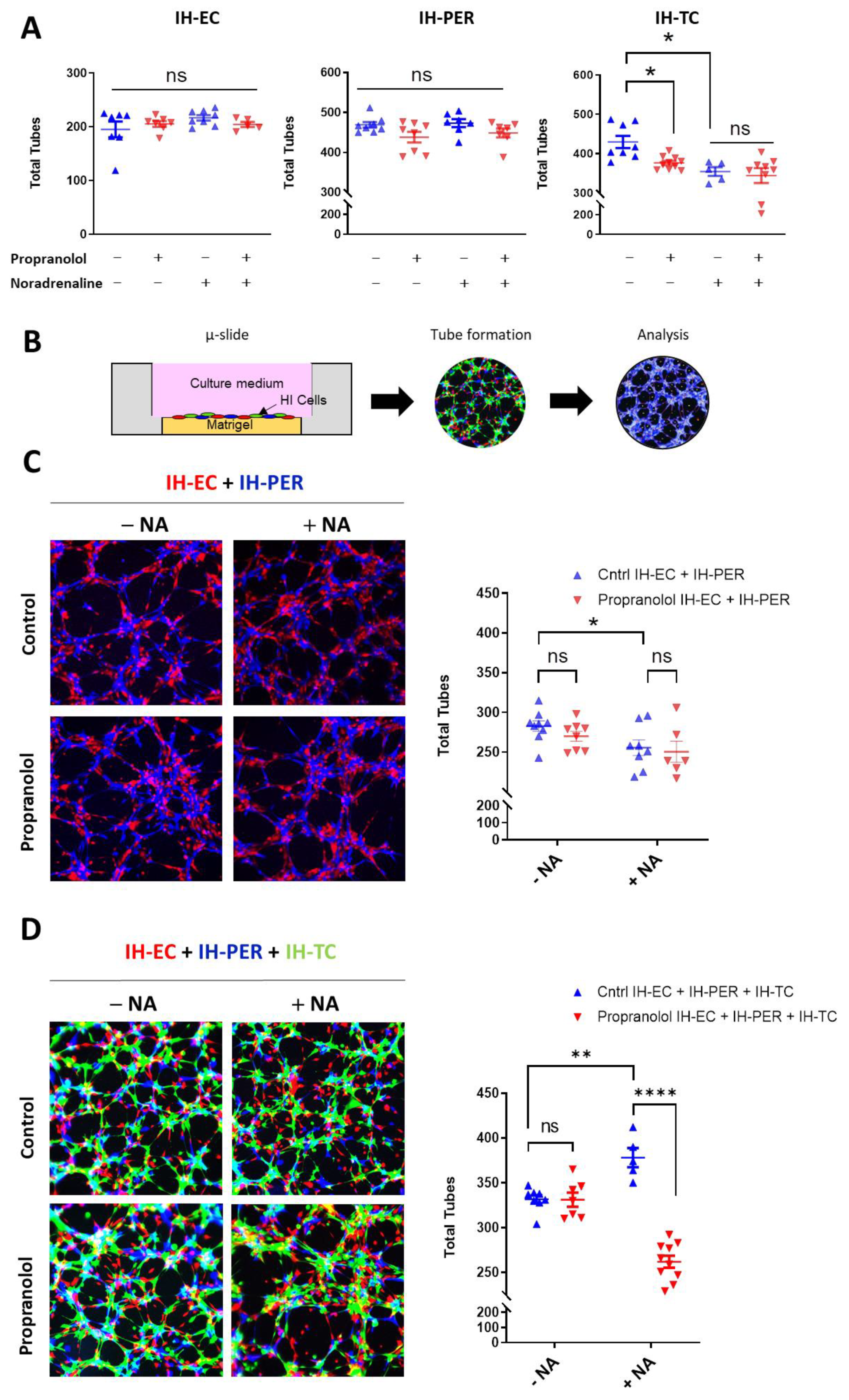 Ijms 23 05140 g004 550