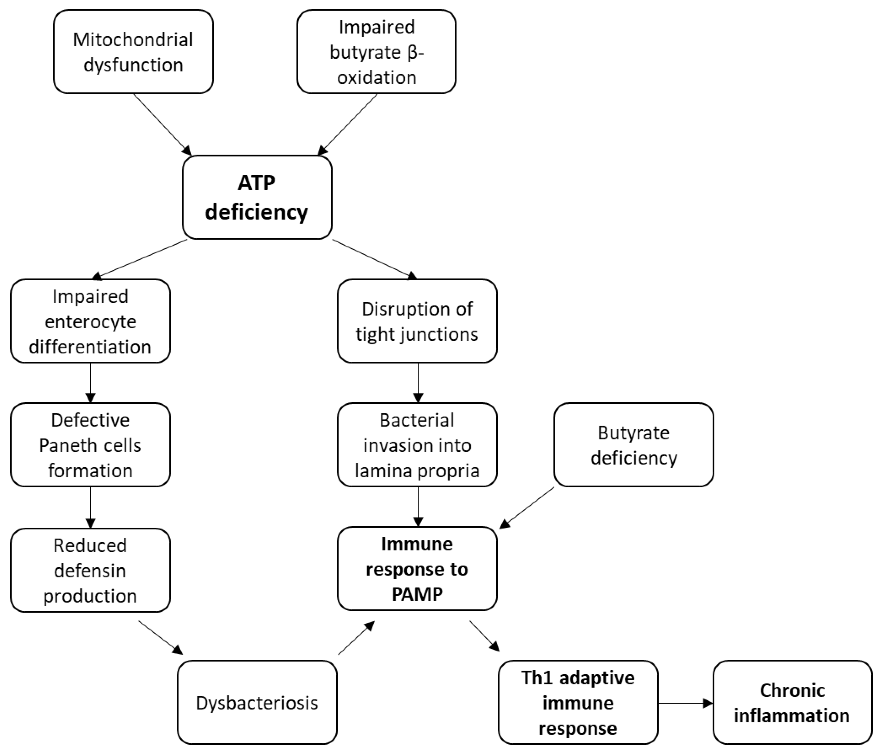 Ijms 23 05141 g001 Ijms 23 05141 g001