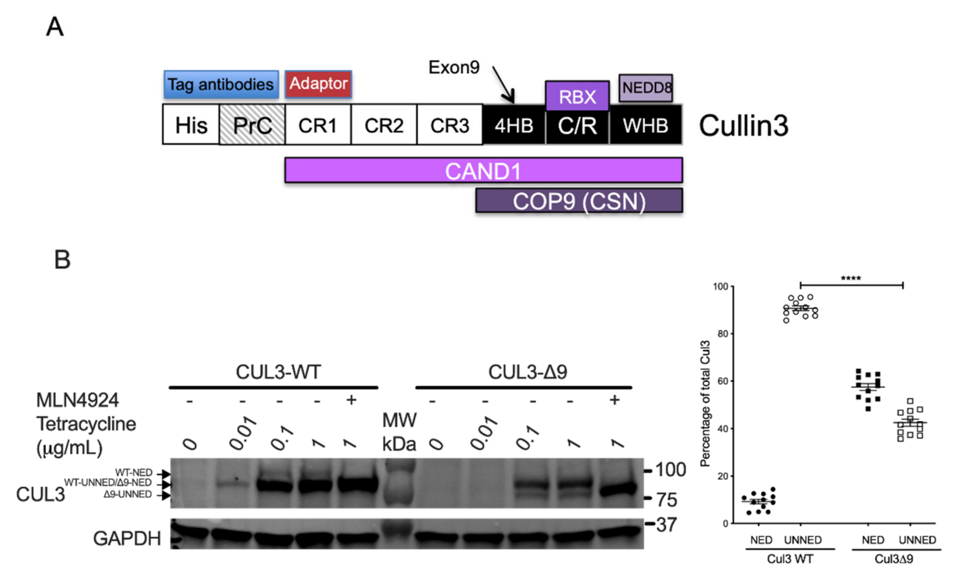 Ijms 23 05151 g001 550