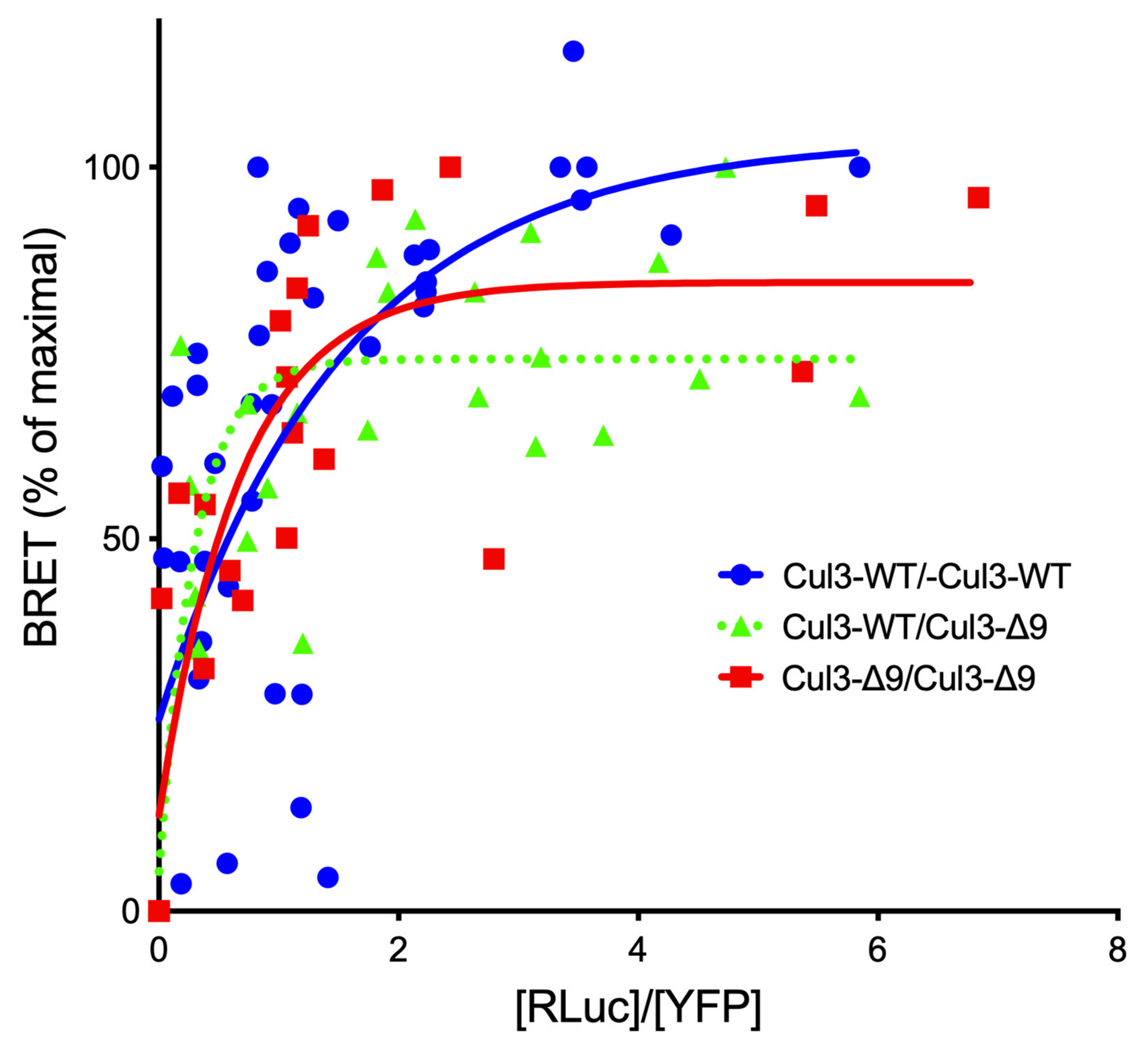 Ijms 23 05151 g002 550
