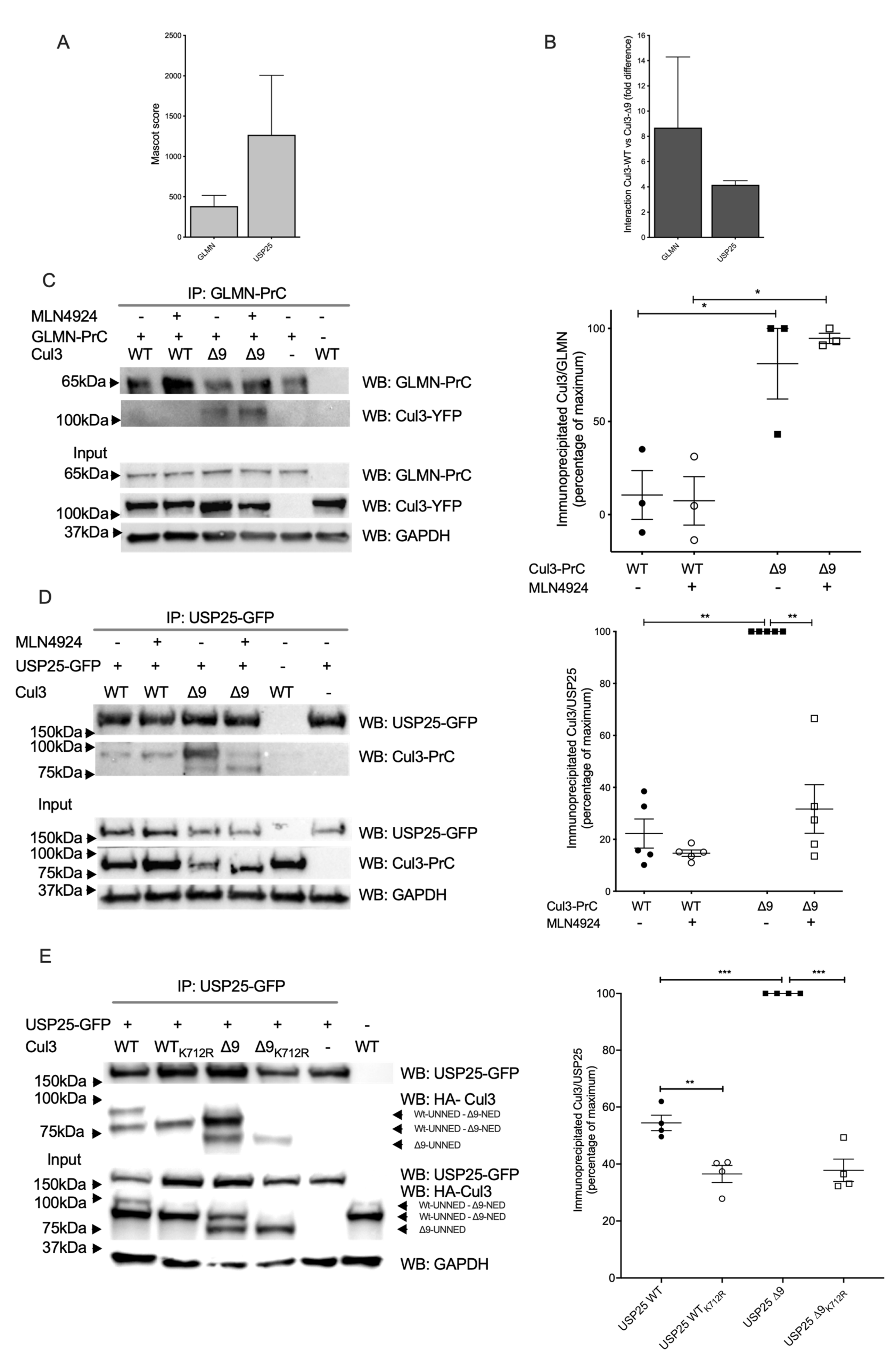 Ijms 23 05151 g003 550