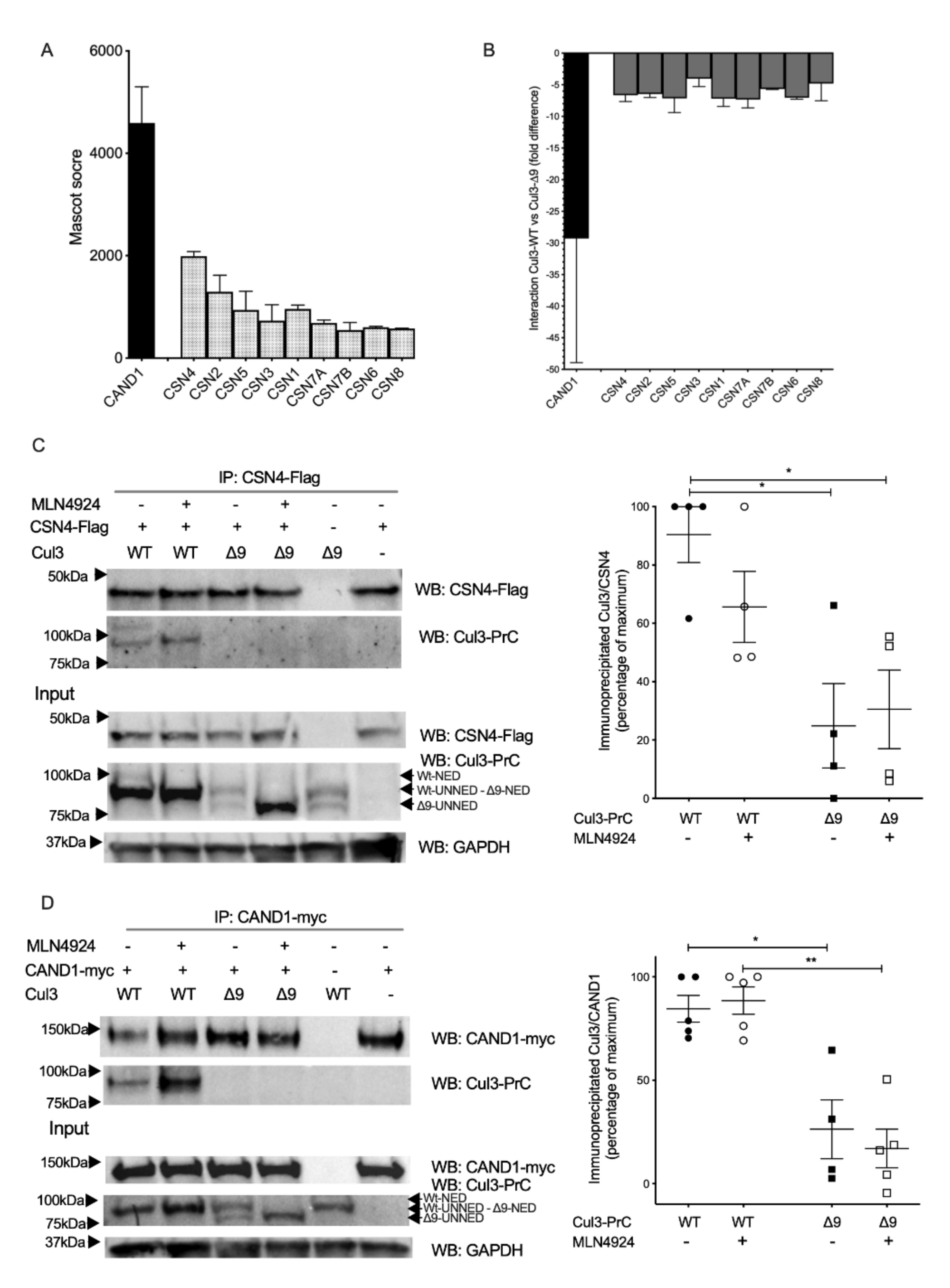 Ijms 23 05151 g004 550