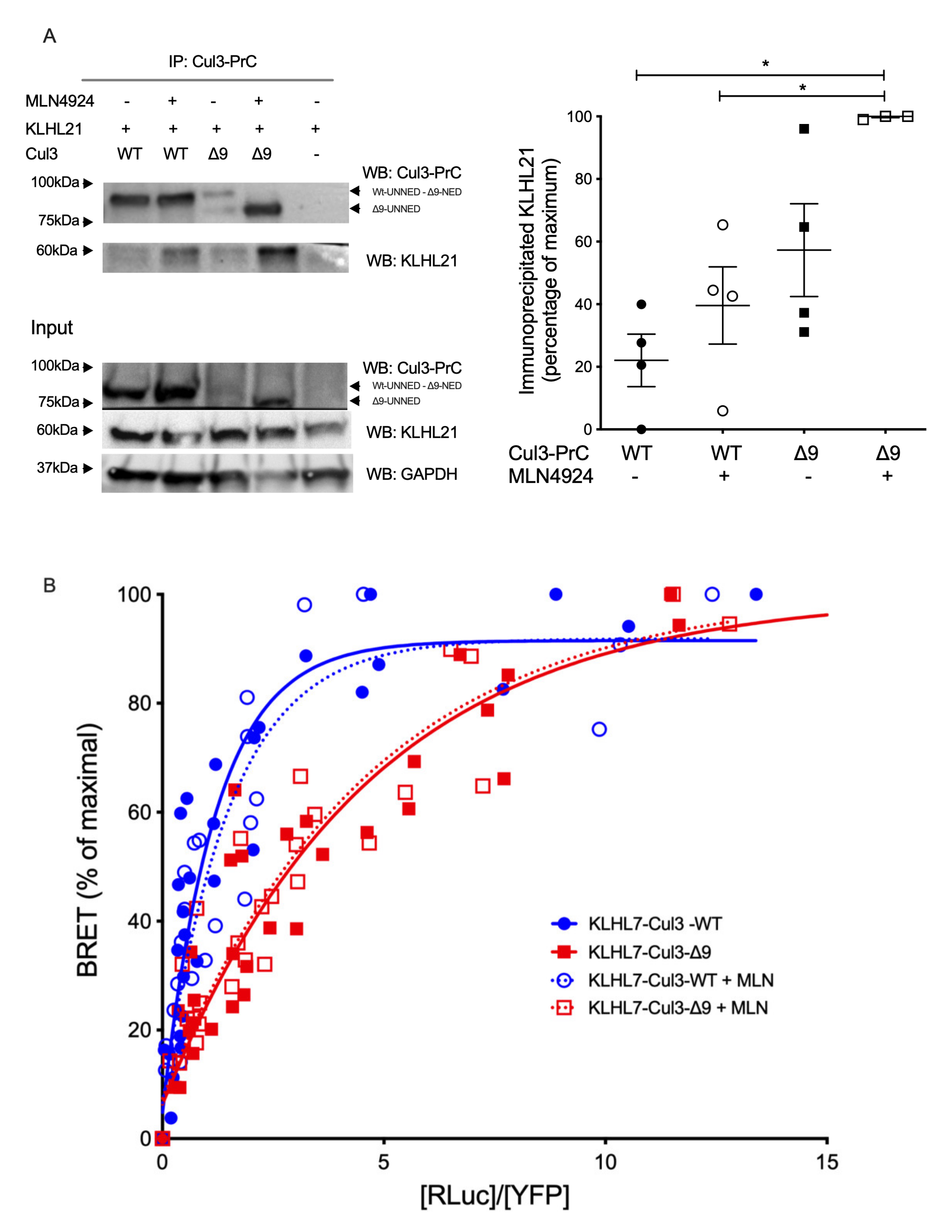 Ijms 23 05151 g006 550