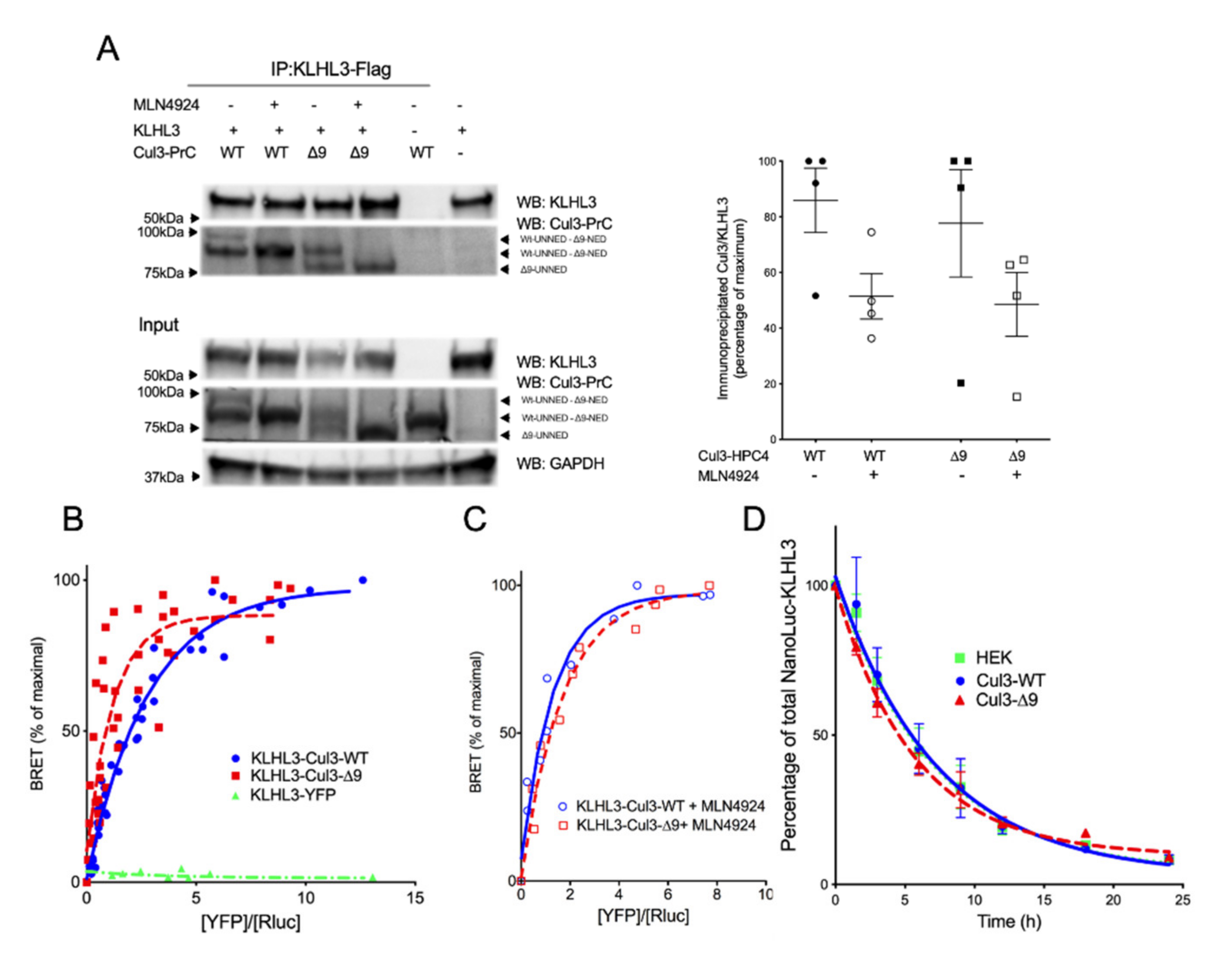 Ijms 23 05151 g007 550