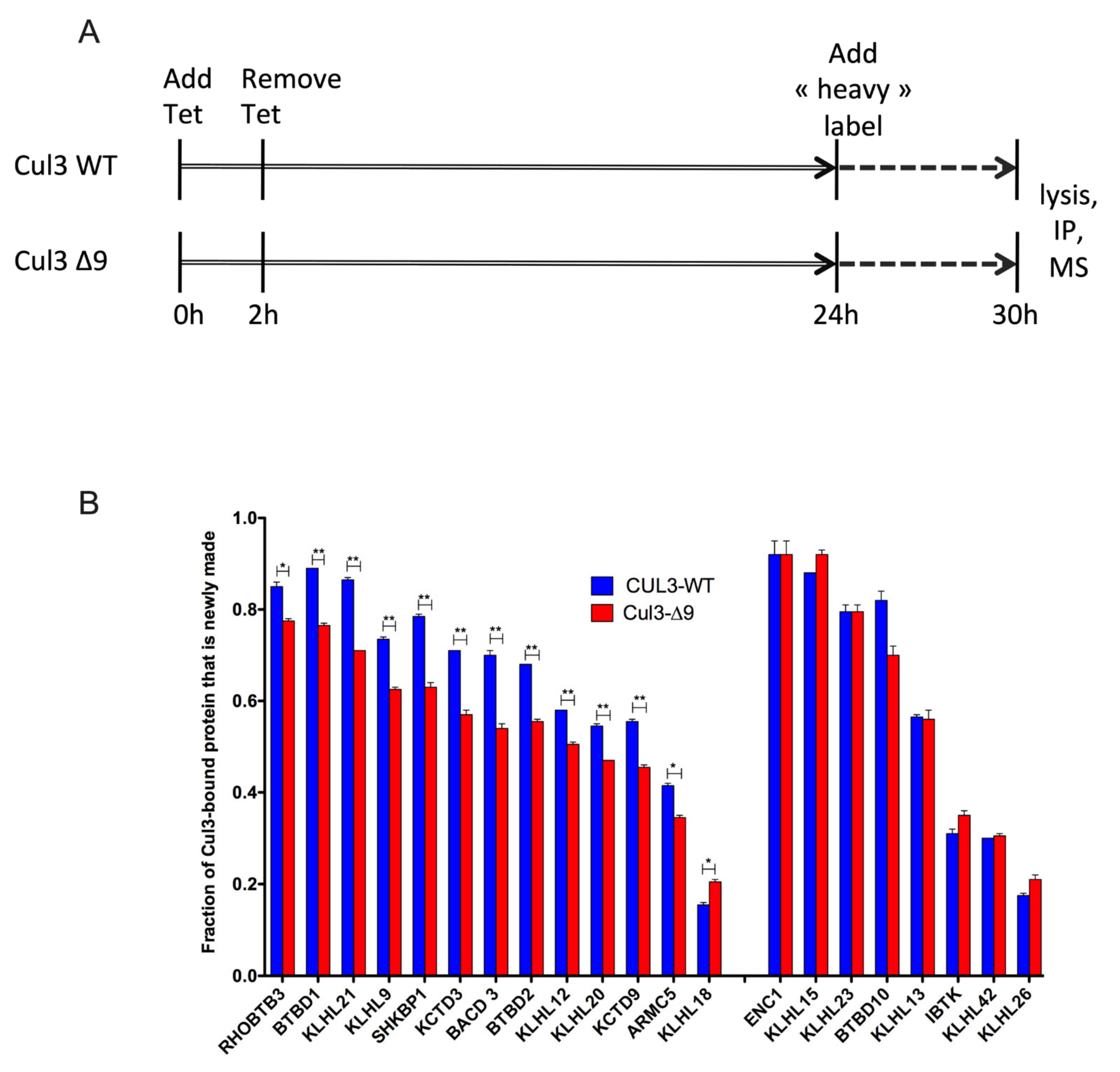 Ijms 23 05151 g008 550