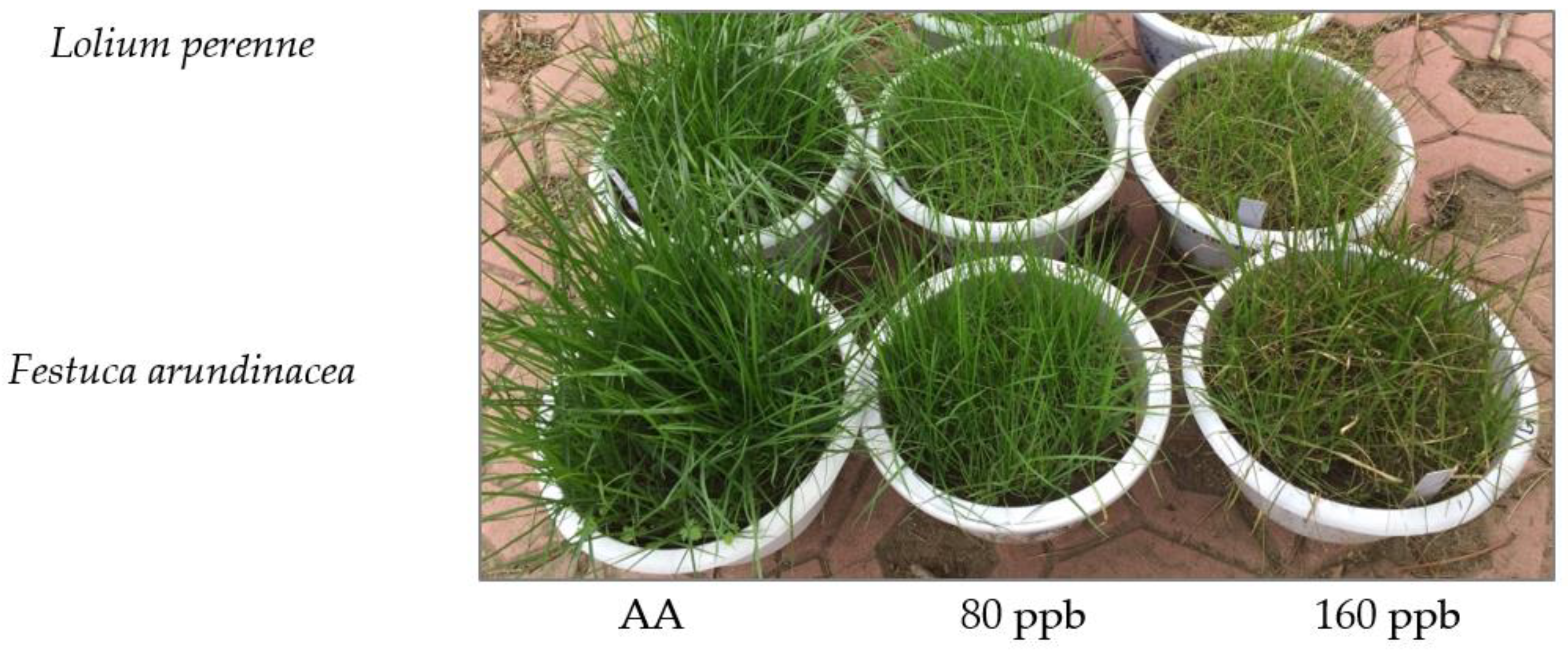 Ijms 23 05153 g001 550