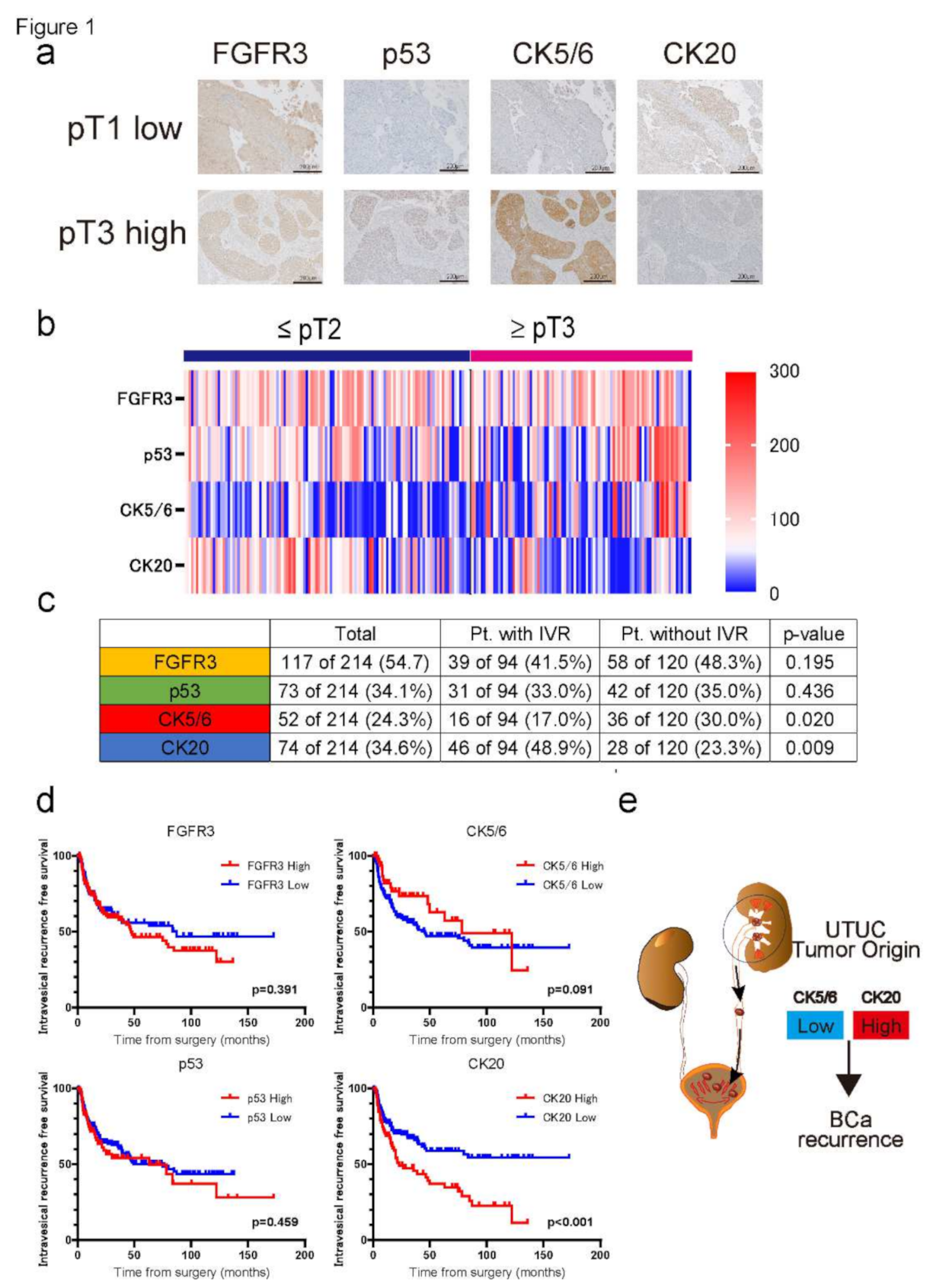 Ijms 23 05154 g001 550