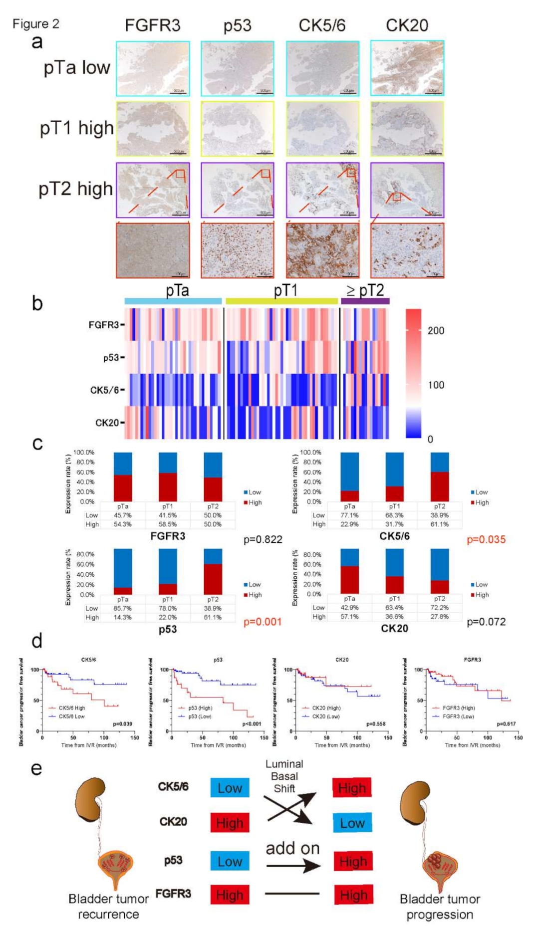 Ijms 23 05154 g002 550