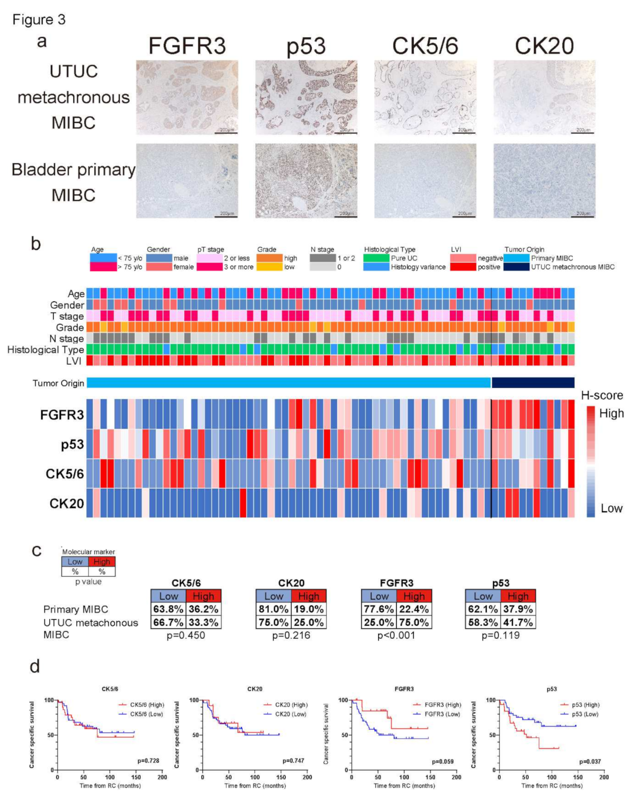 Ijms 23 05154 g003 550