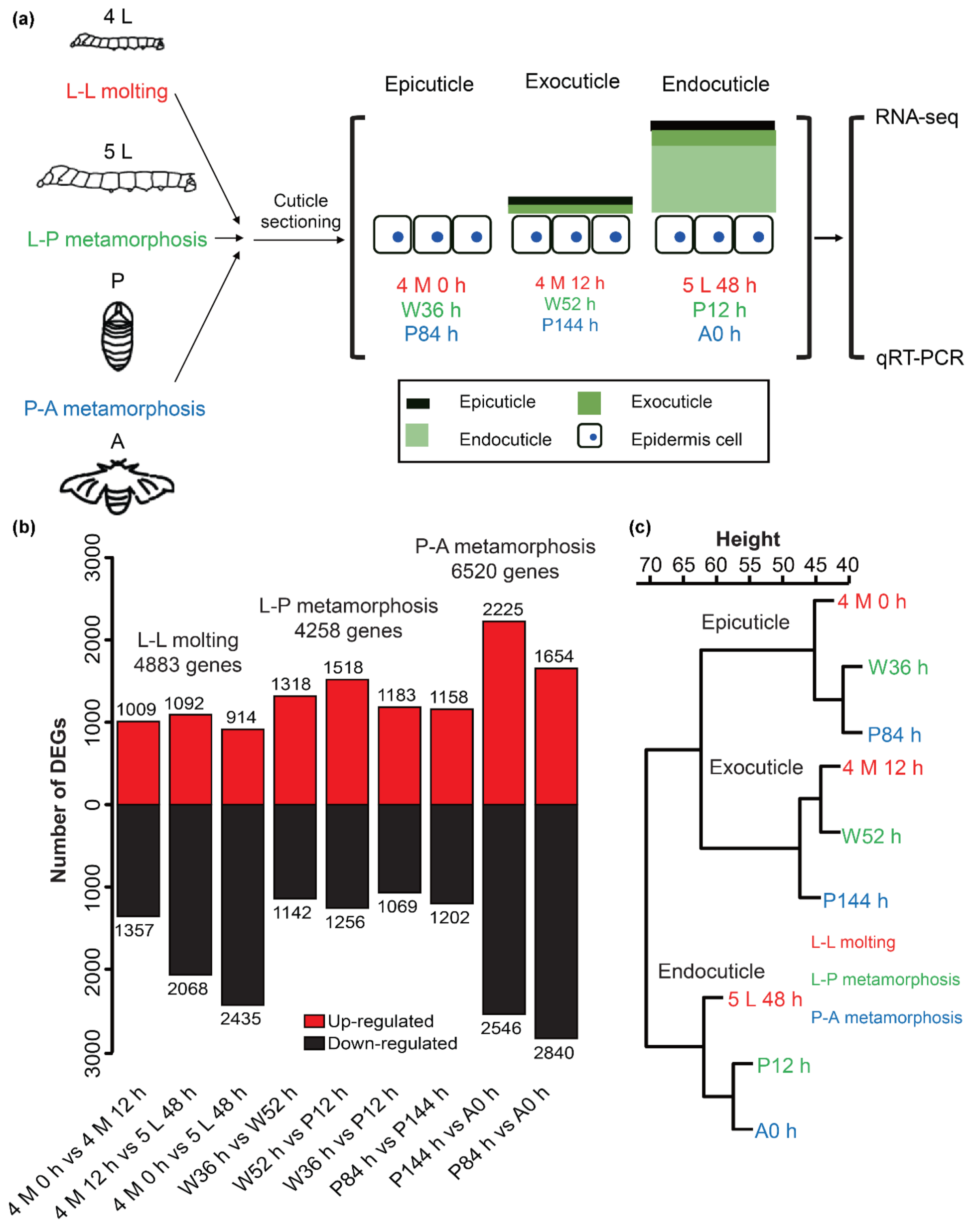 Ijms 23 05155 g002 550