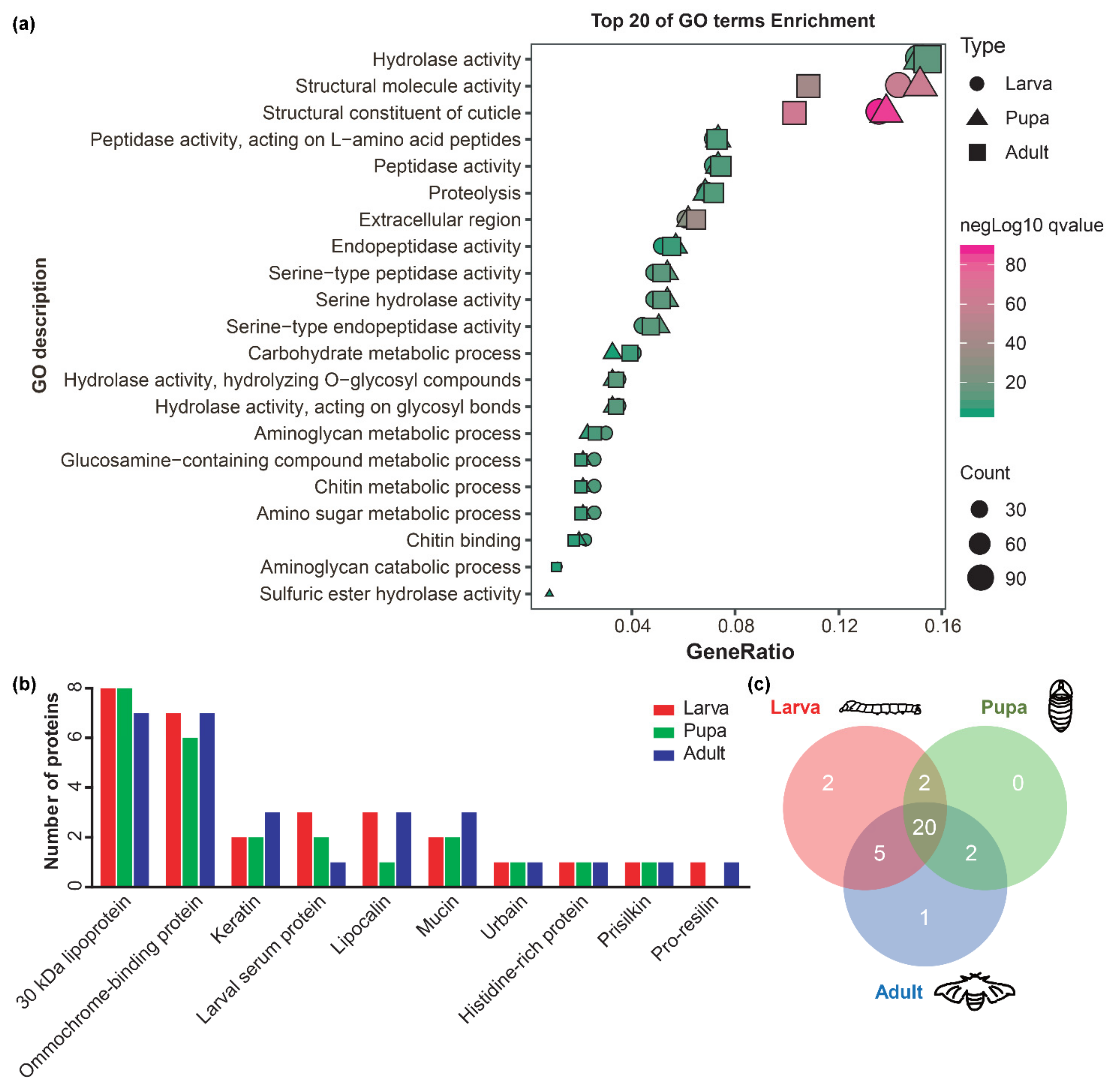 Ijms 23 05155 g005 550