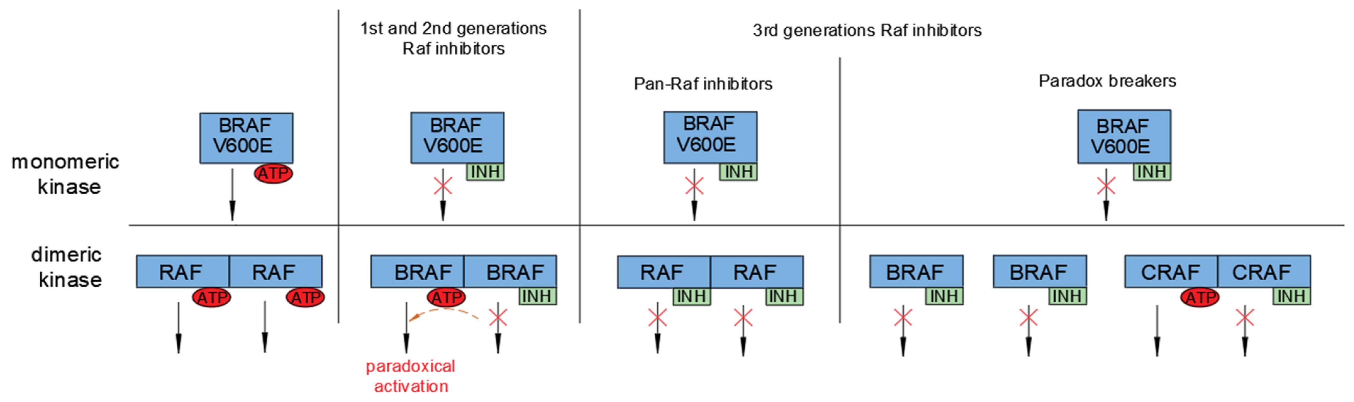 Ijms 23 05158 g005 Ijms 23 05158 g005