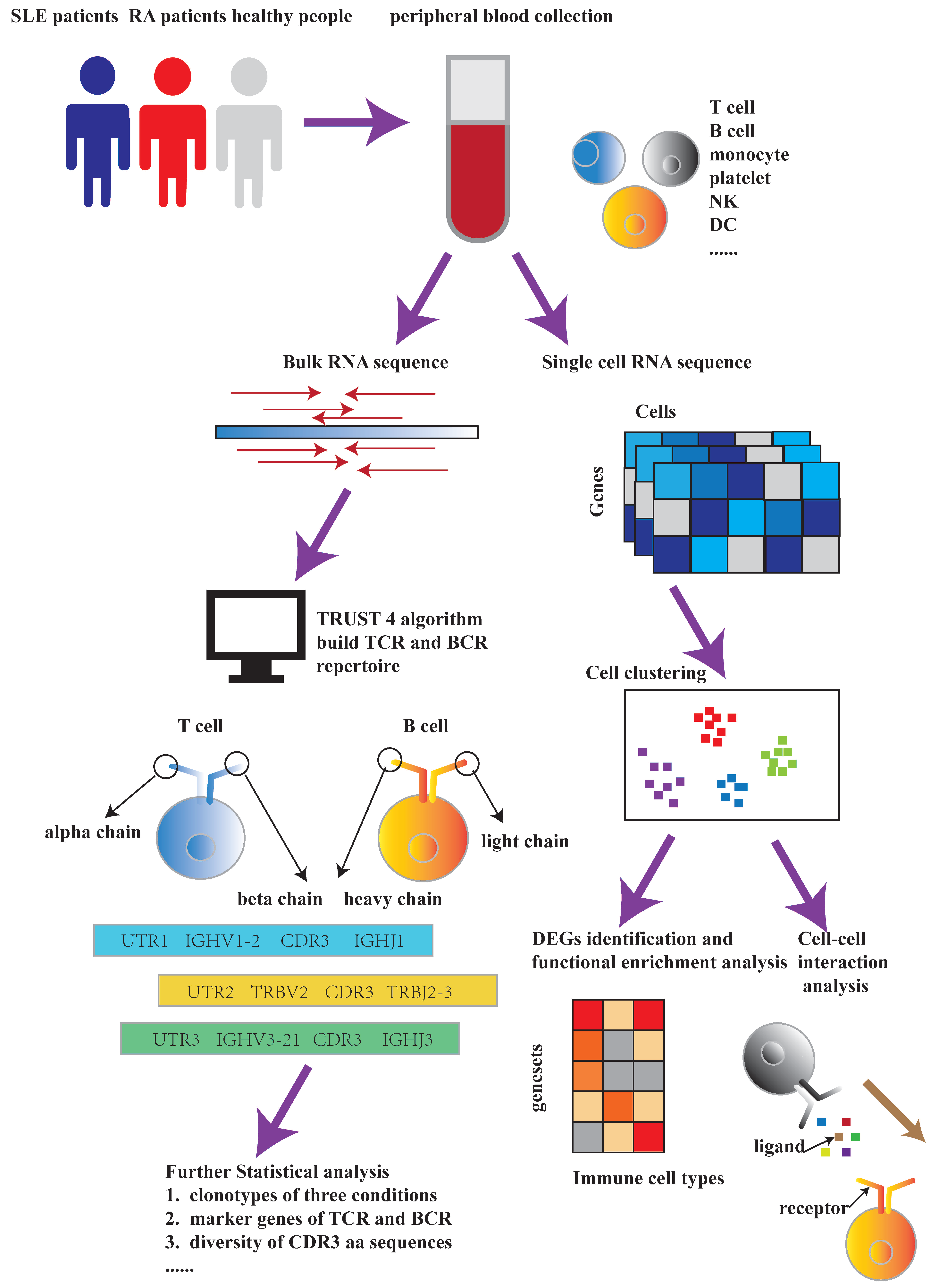 Ijms 23 05166 g001 550