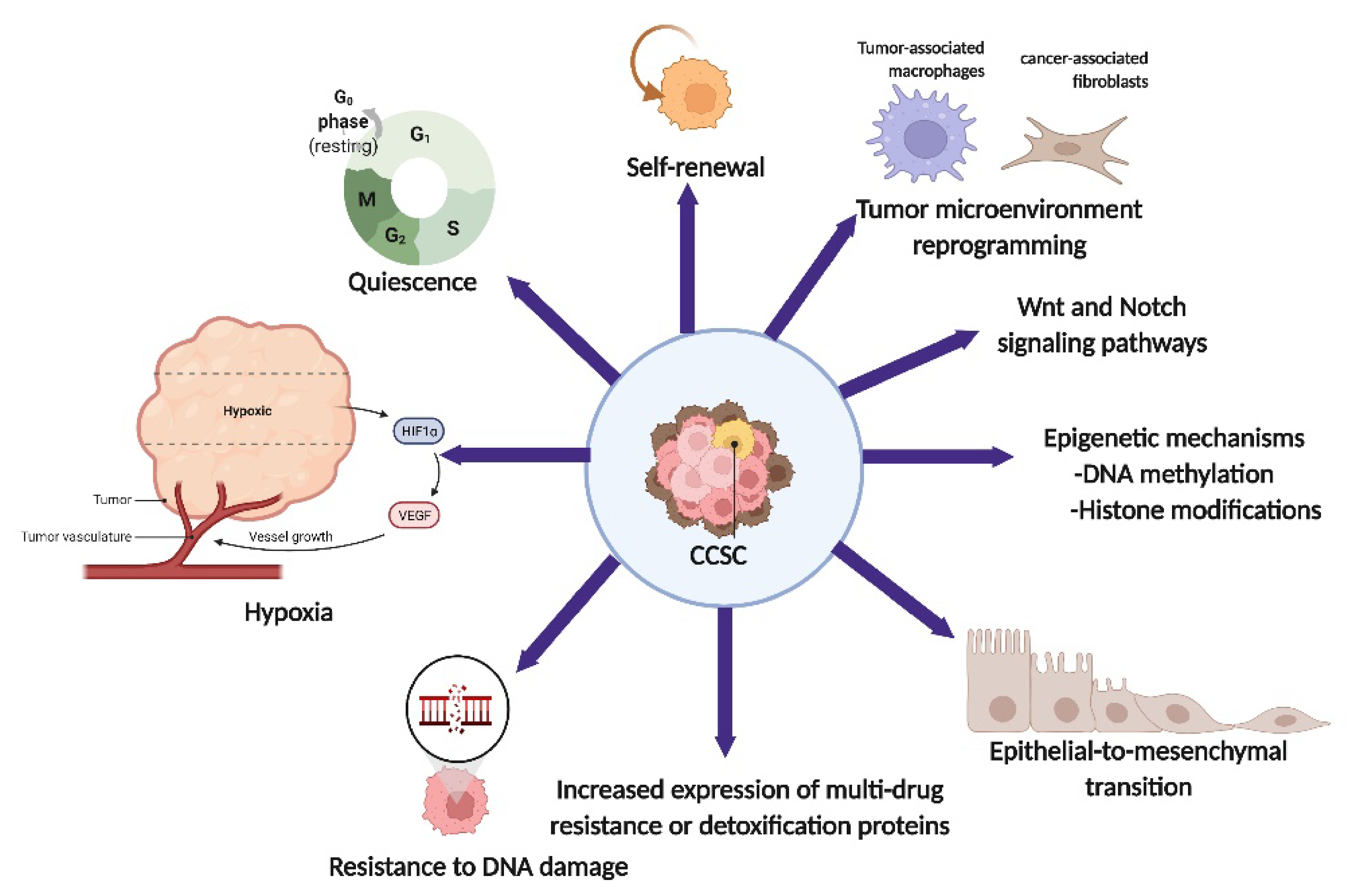 Ijms 23 05167 g001 Ijms 23 05167 g001