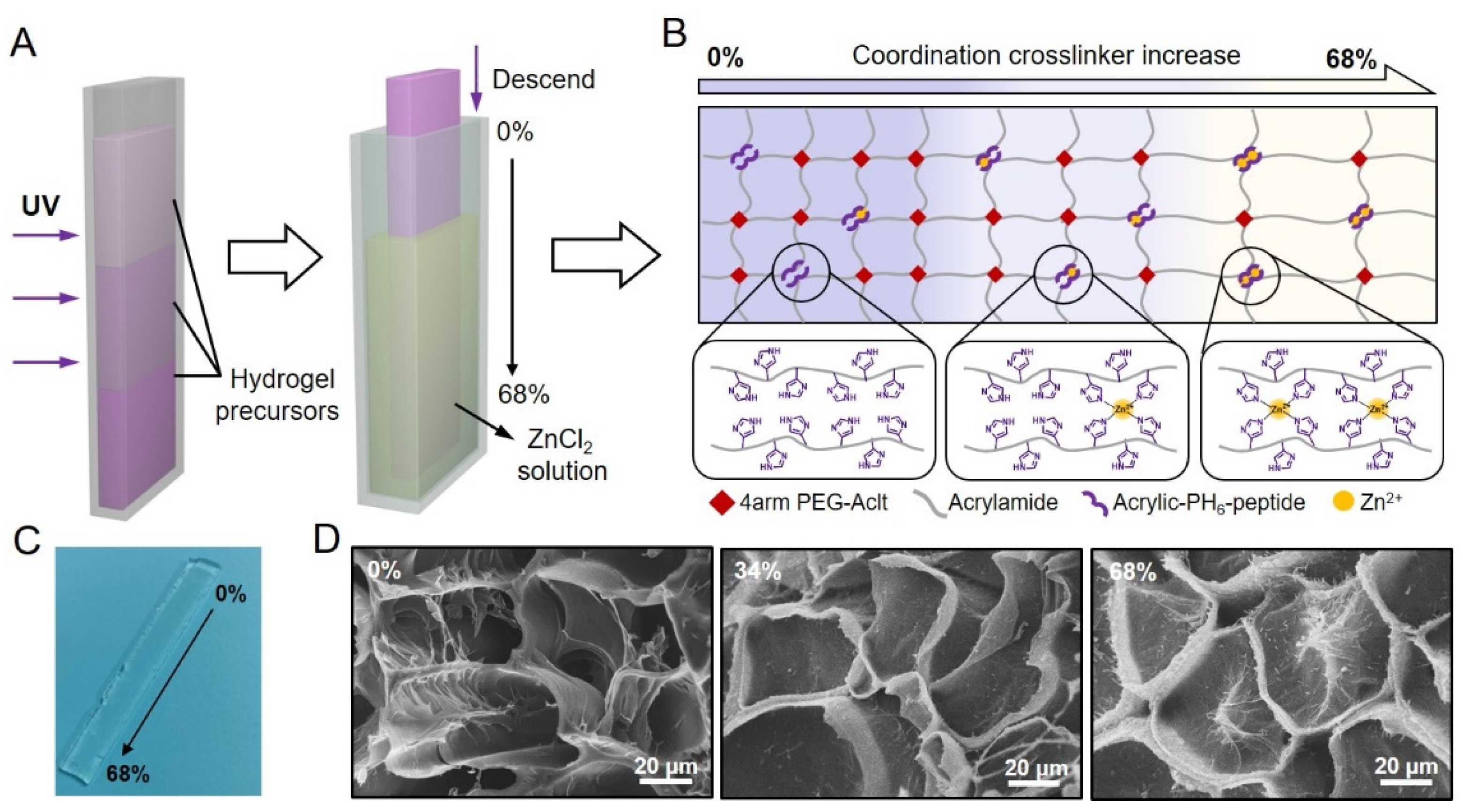 Ijms 23 05170 g001 550