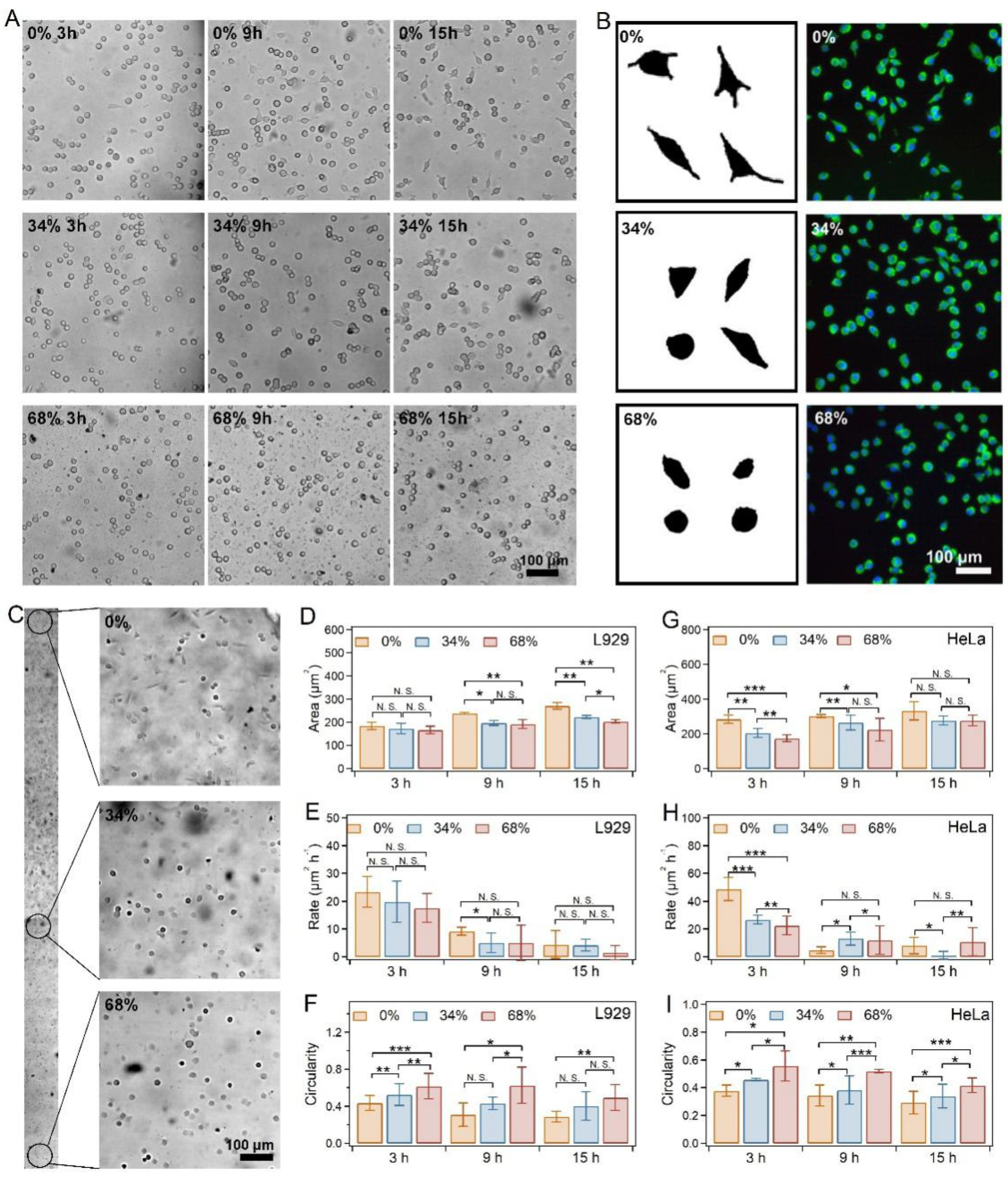 Ijms 23 05170 g003 550