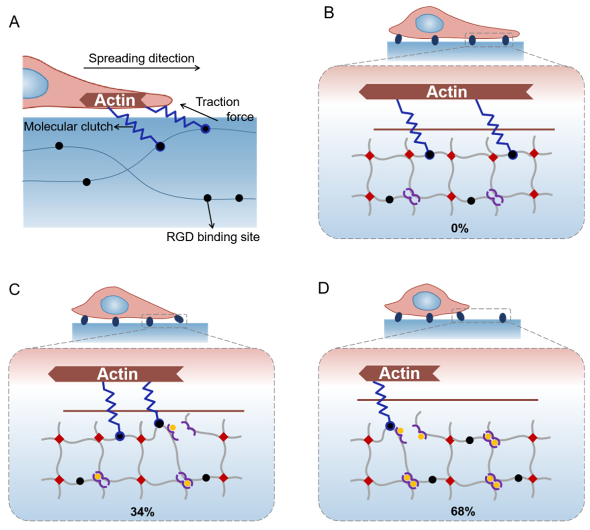 Ijms 23 05170 g004 550