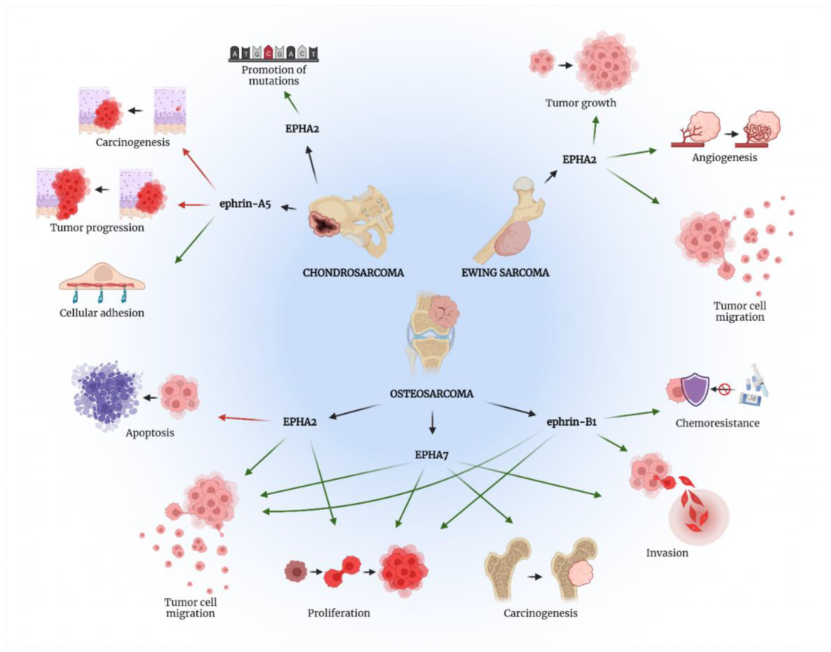 Ijms 23 05171 g002 550