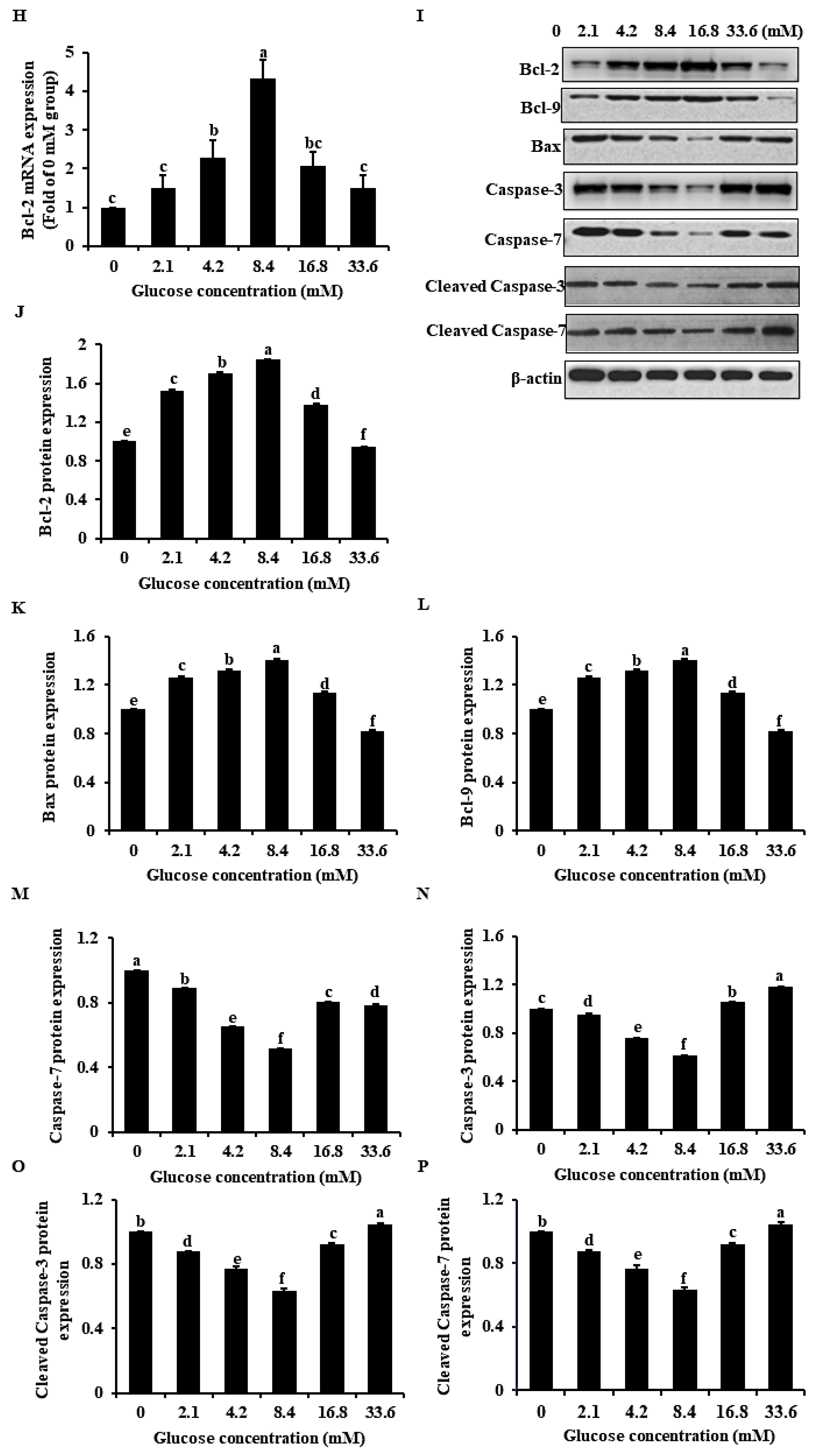 Ijms 23 05183 g001b 550