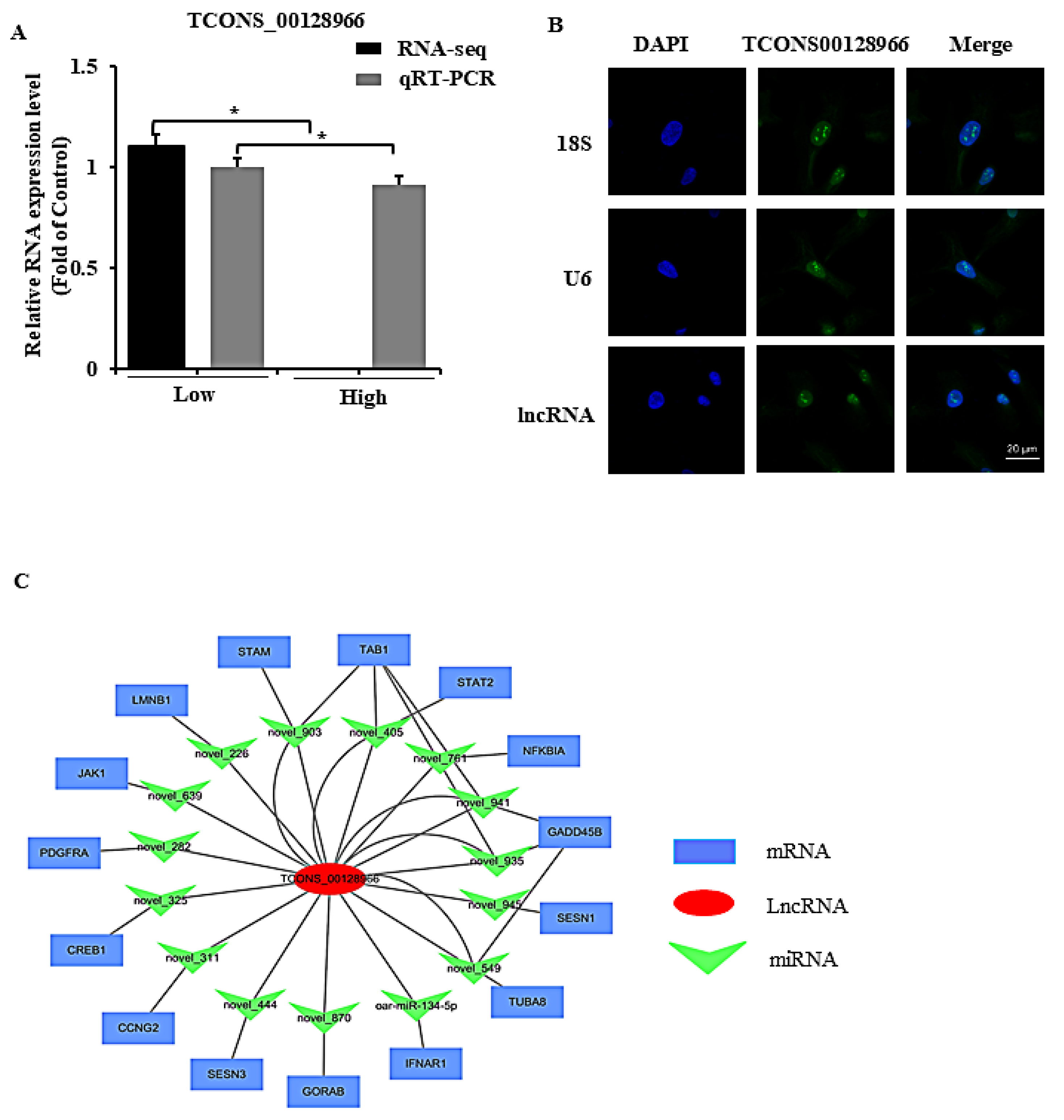 Ijms 23 05183 g006 550
