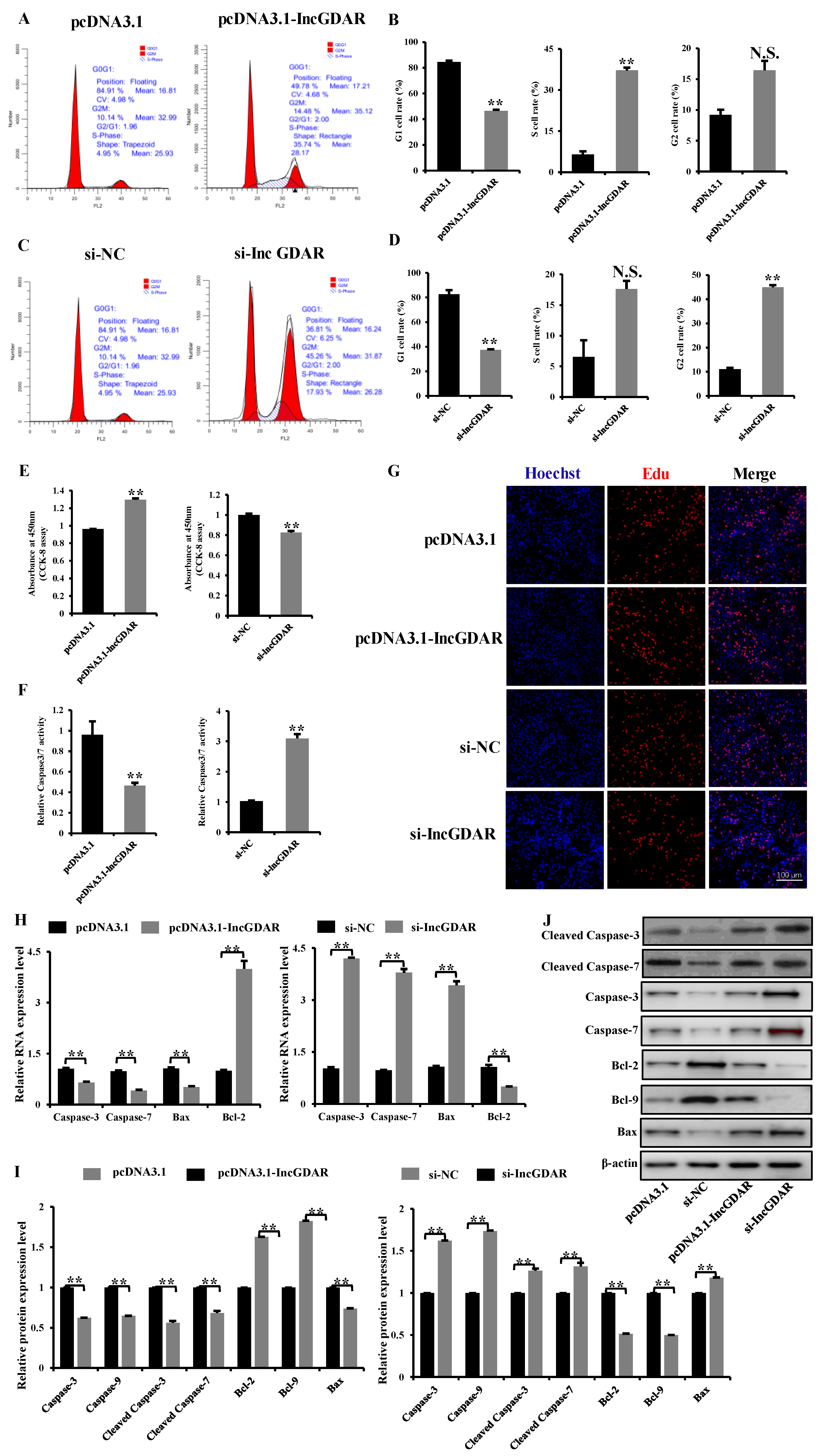 Ijms 23 05183 g007 550