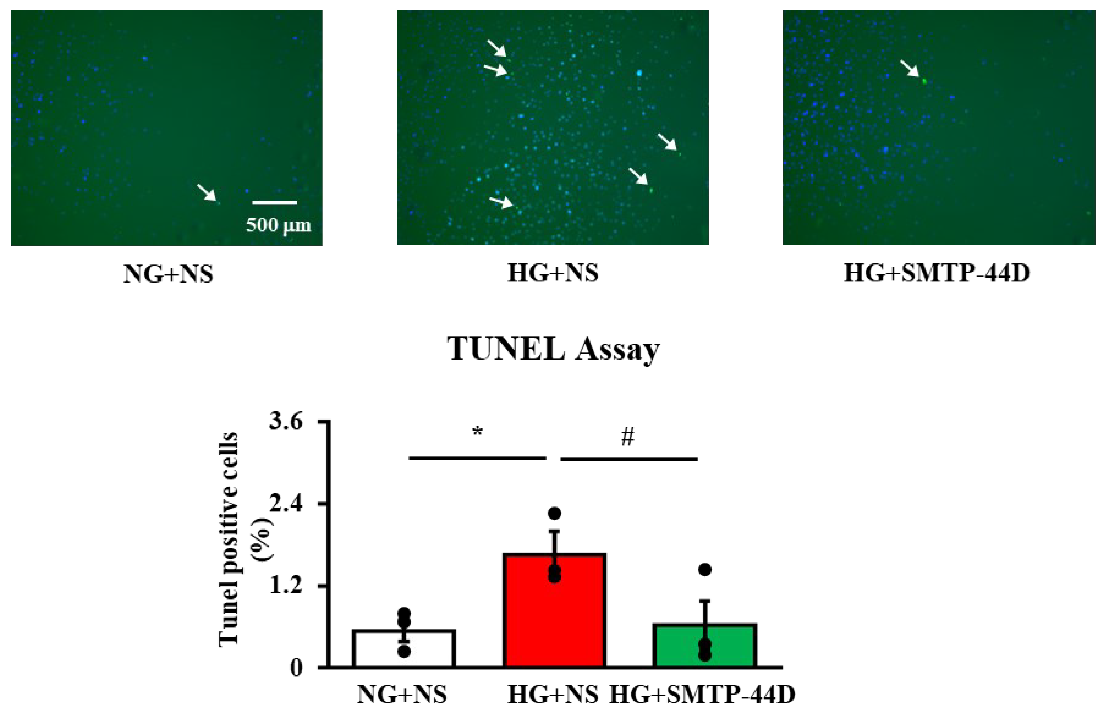 Ijms 23 05187 g004 550