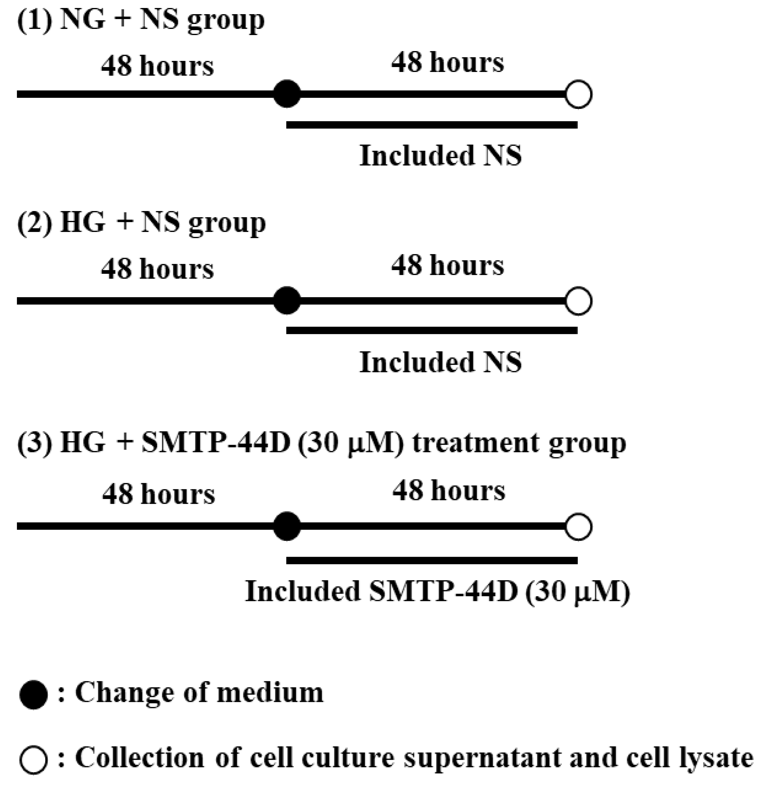 Ijms 23 05187 g006 550