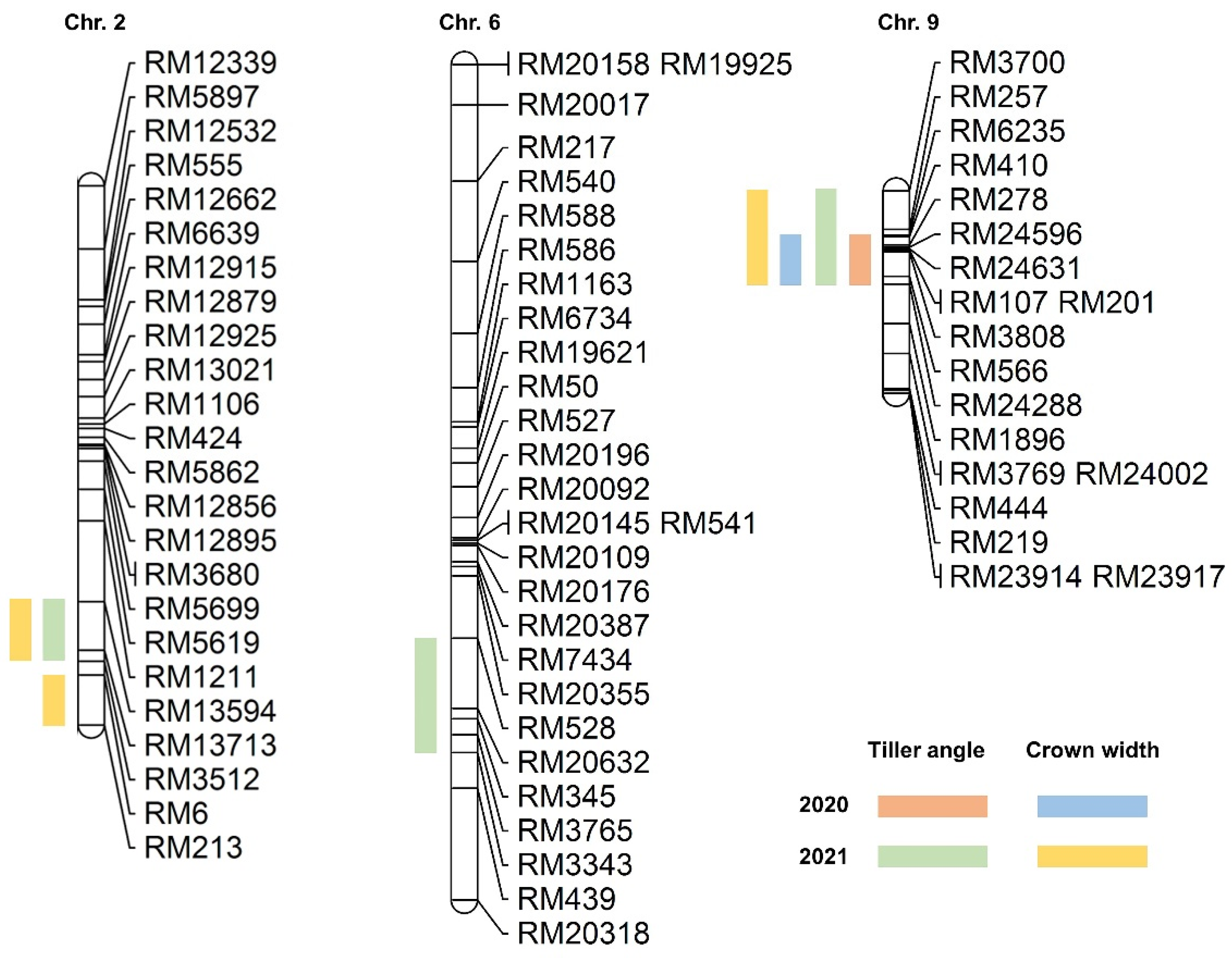 Ijms 23 05192 g003 550