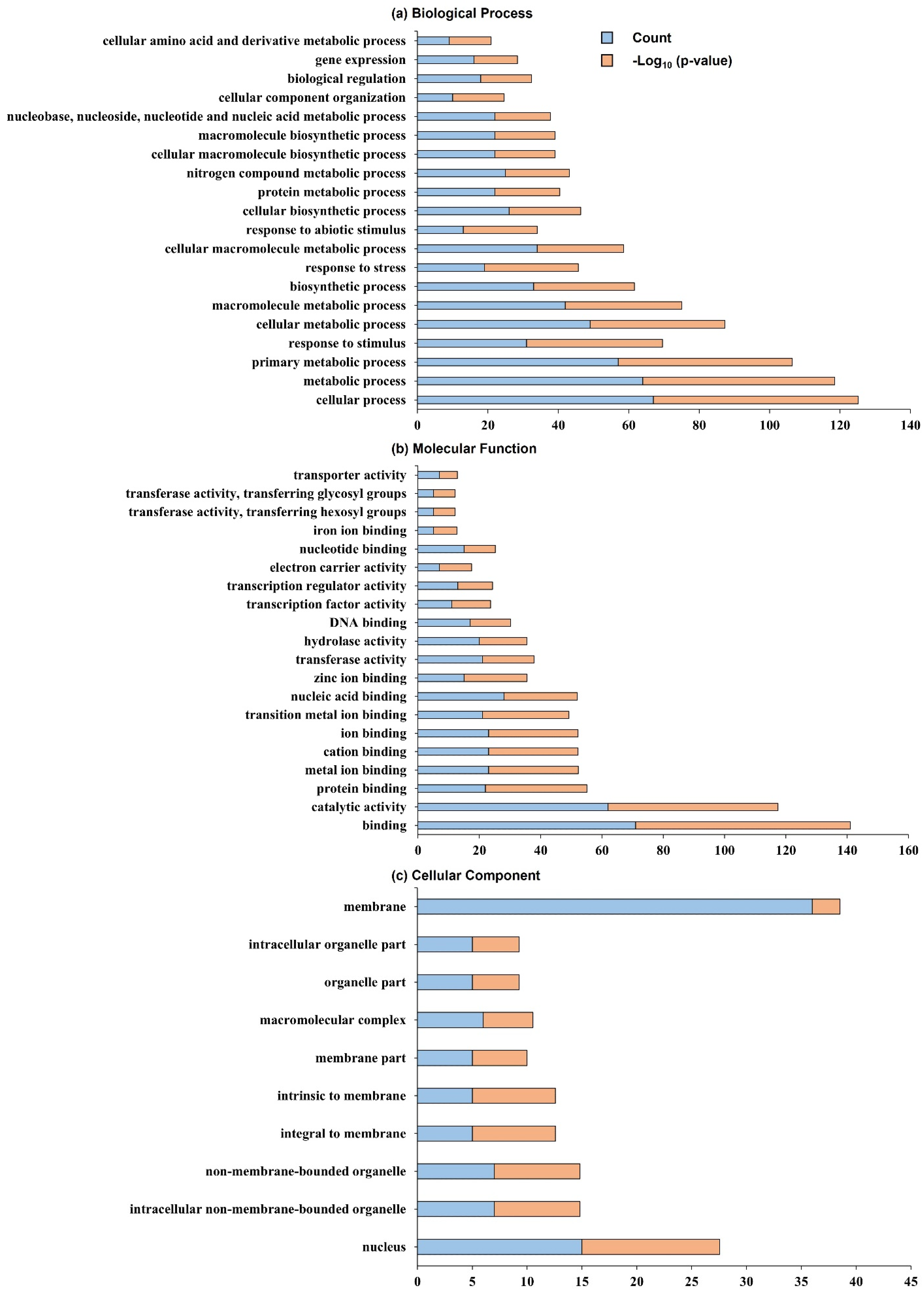 Ijms 23 05192 g004 550