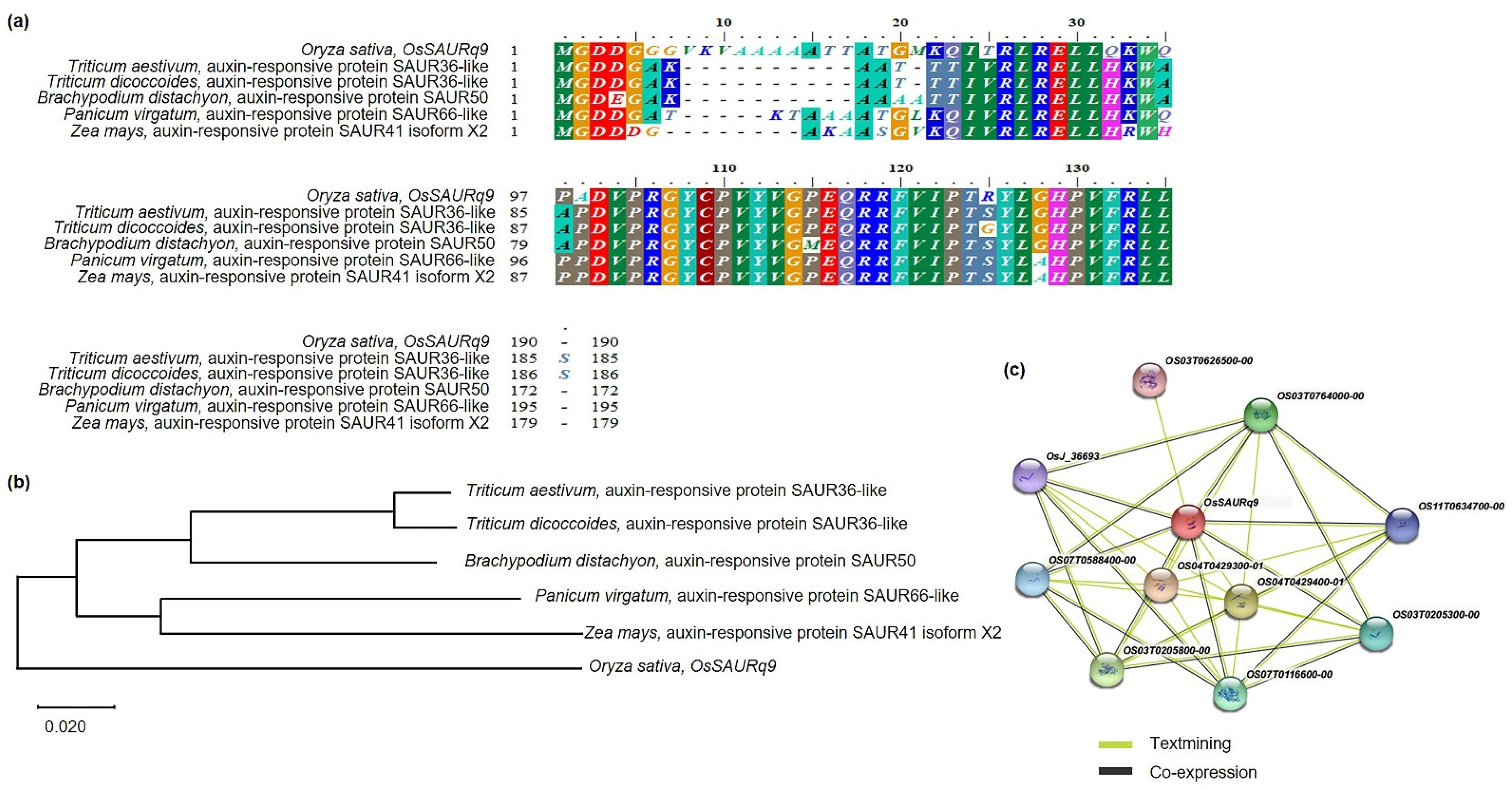 Ijms 23 05192 g007 550