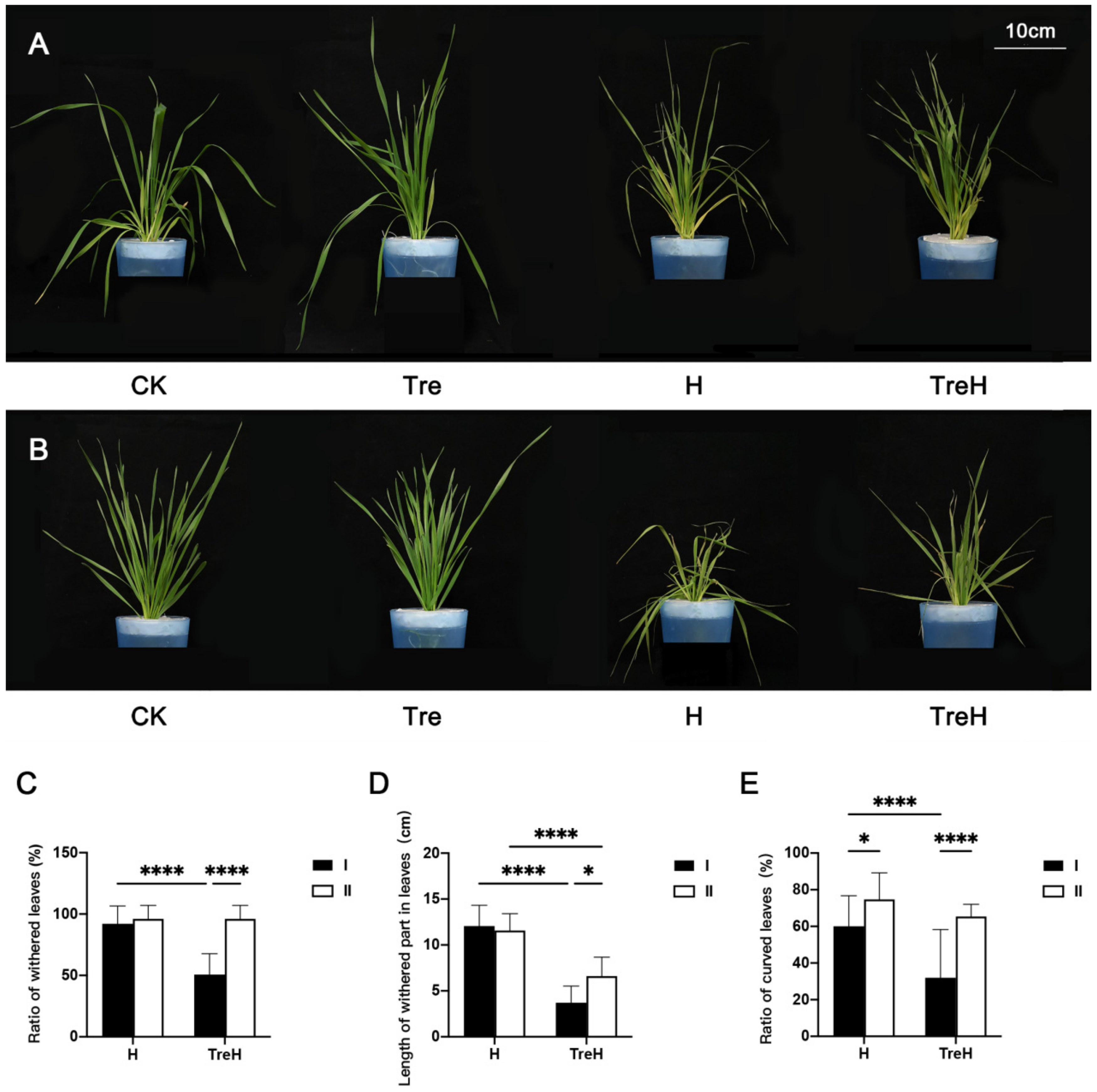 Ijms 23 05194 g001 Ijms 23 05194 g001