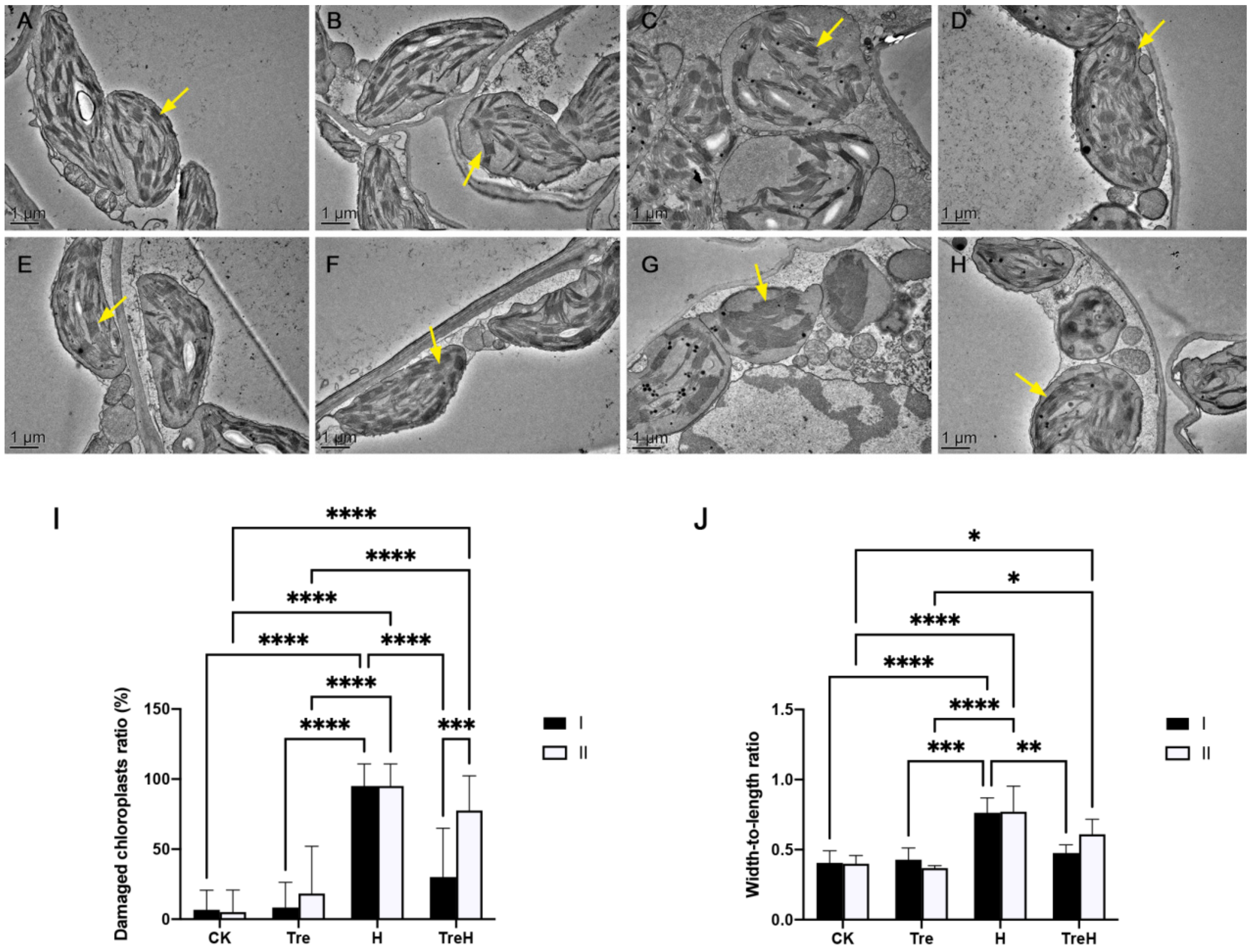 Ijms 23 05194 g003 Ijms 23 05194 g003