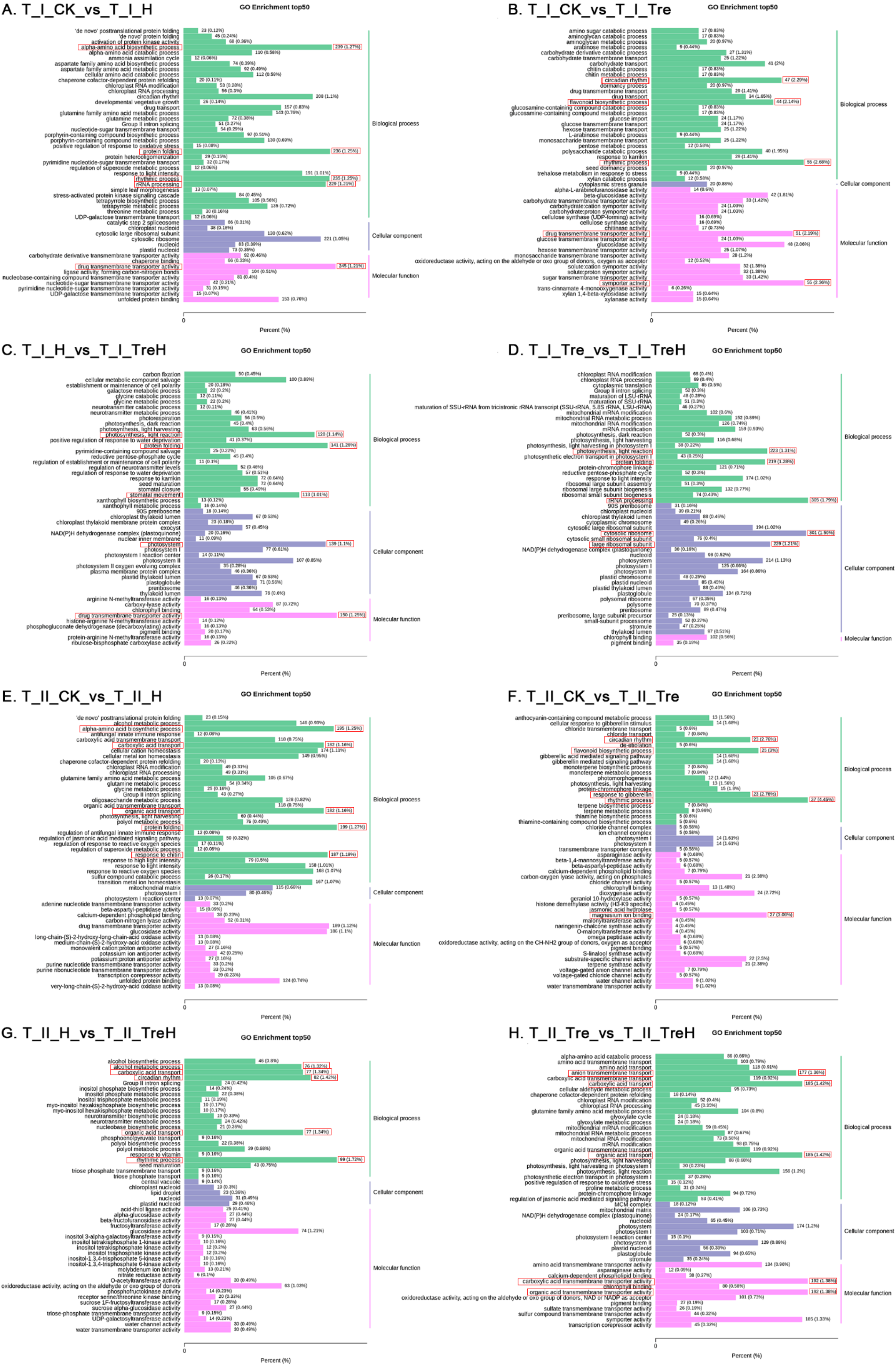 Ijms 23 05194 g006 Ijms 23 05194 g006
