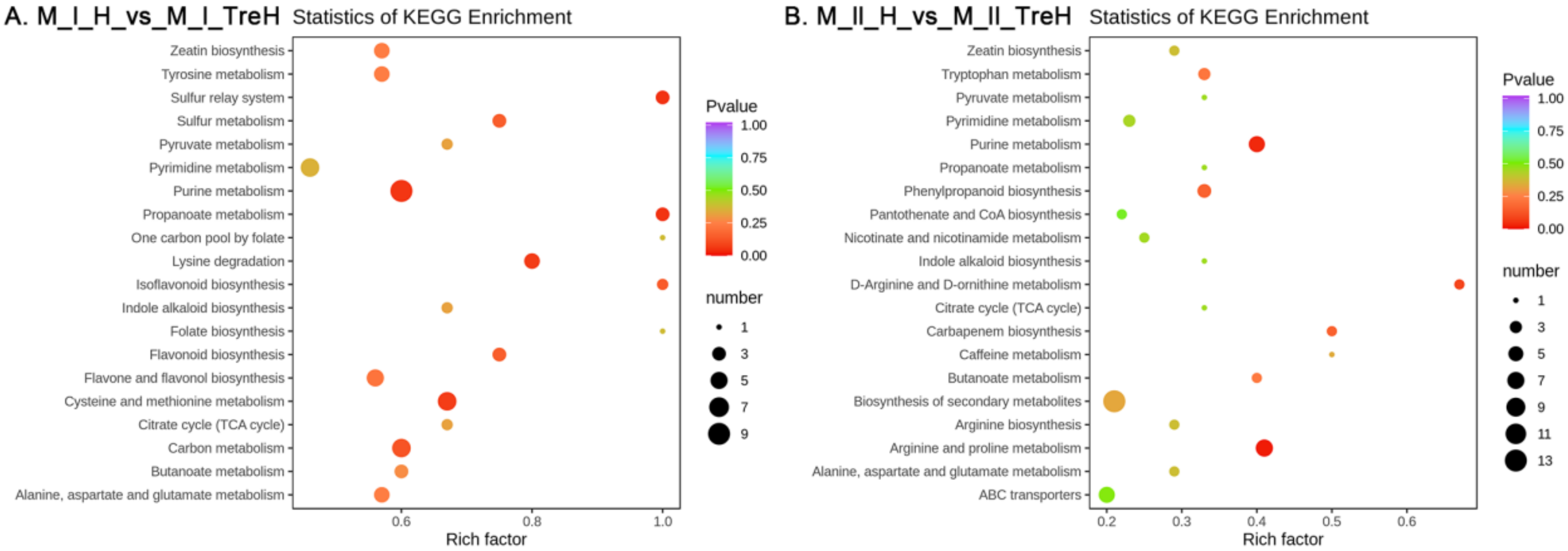 Ijms 23 05194 g010 Ijms 23 05194 g010